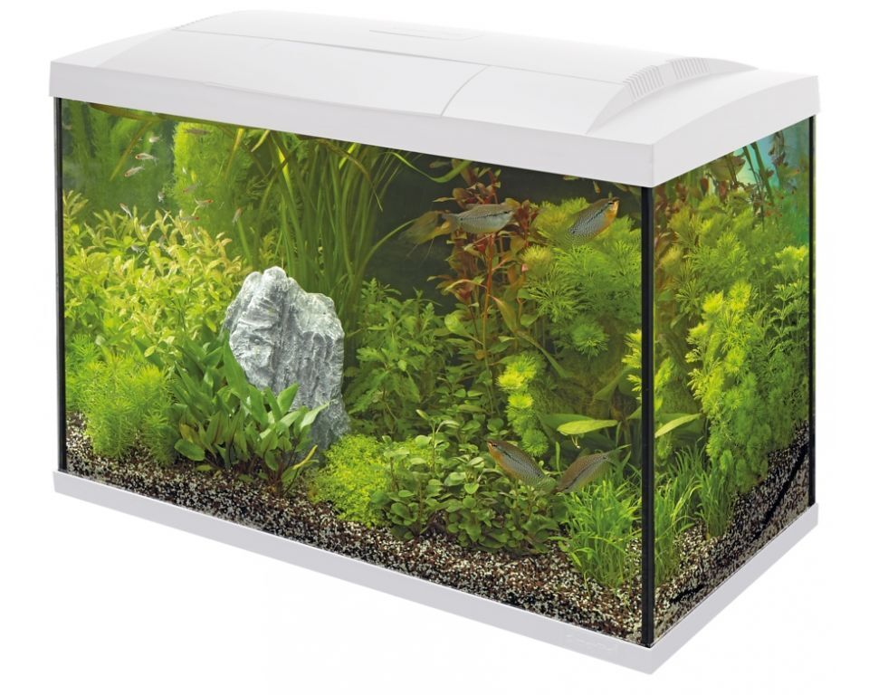 Superfish Start 70 Tropical Kit Wit - 60L Compleet Aquarium met LED, Filter & Heater afbeelding