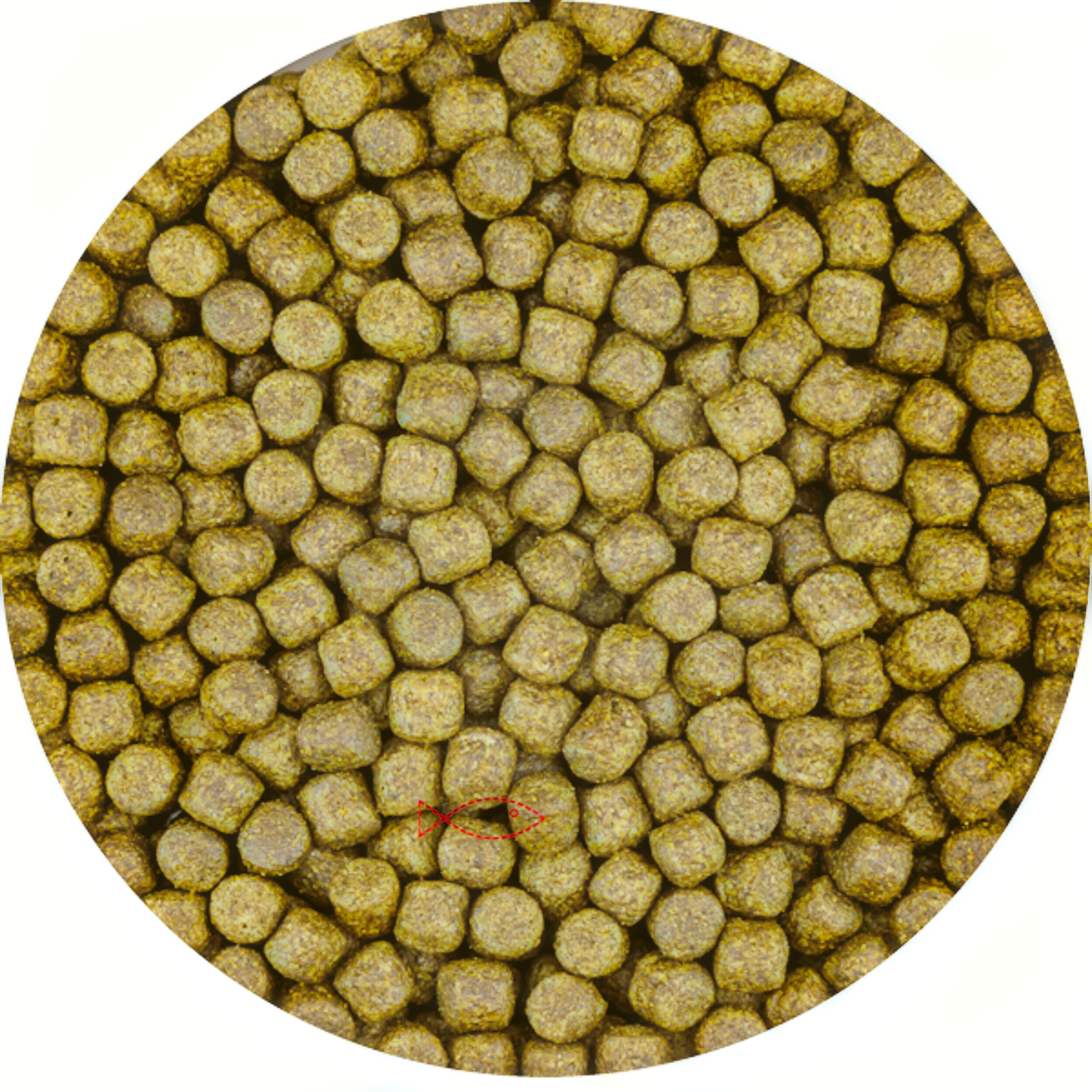 Color met Spirulina 6mm (6 Kilo Zak)