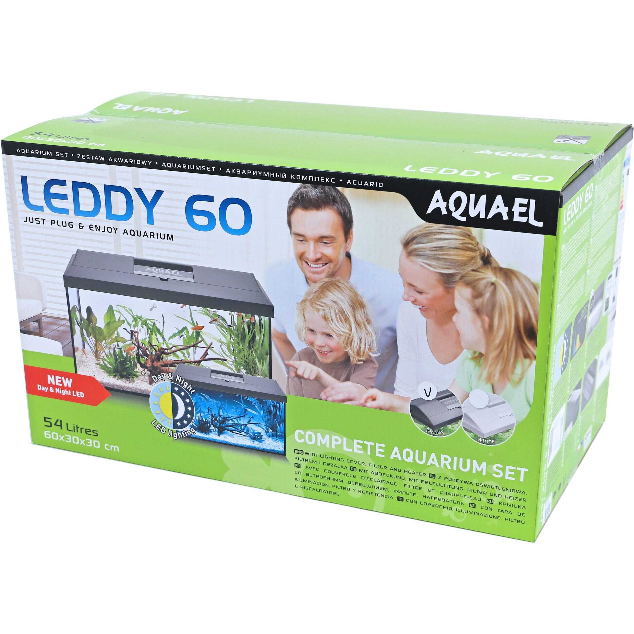 Adult, Female, Person, Woman, Aquarium