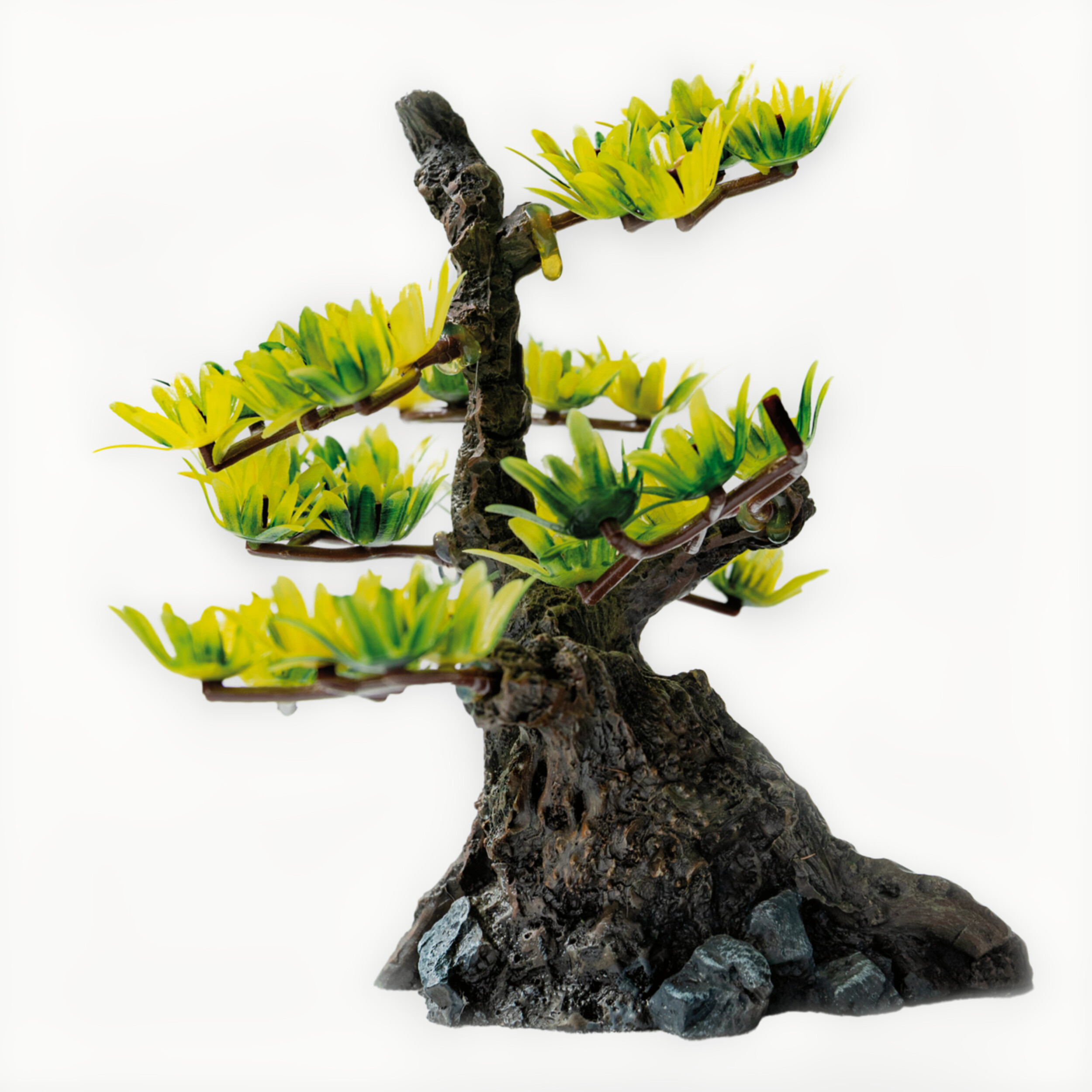 Deco Bonsai Xs