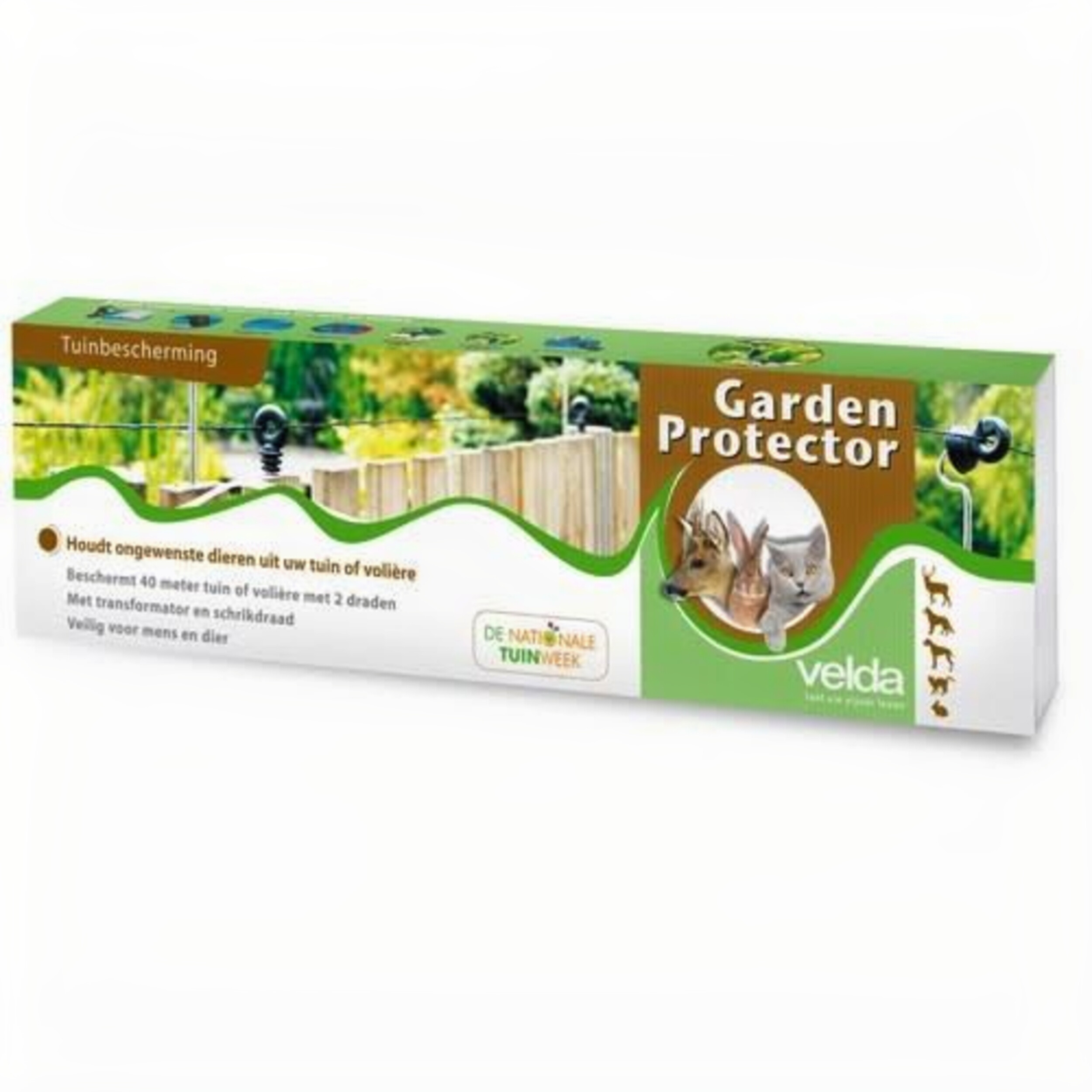 Herbal, Herbs, Plant
