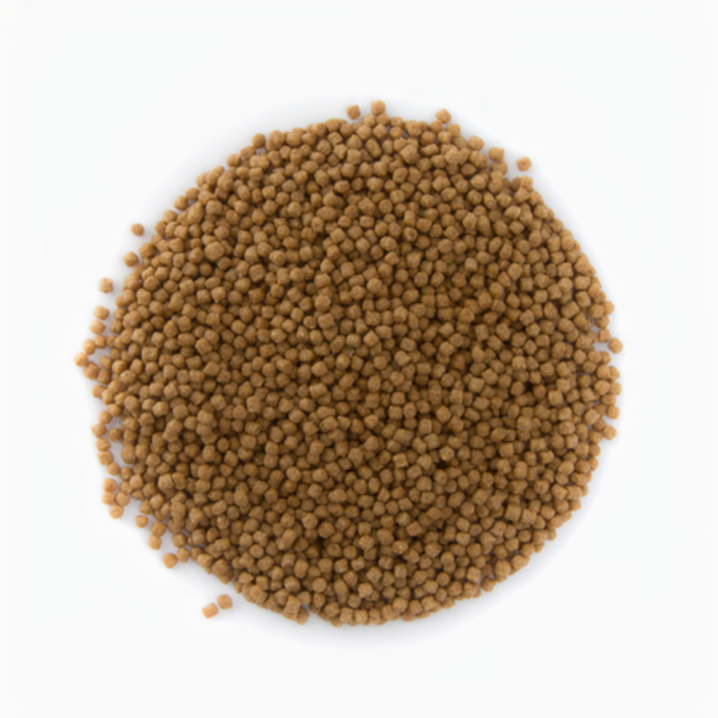 Food, Mustard