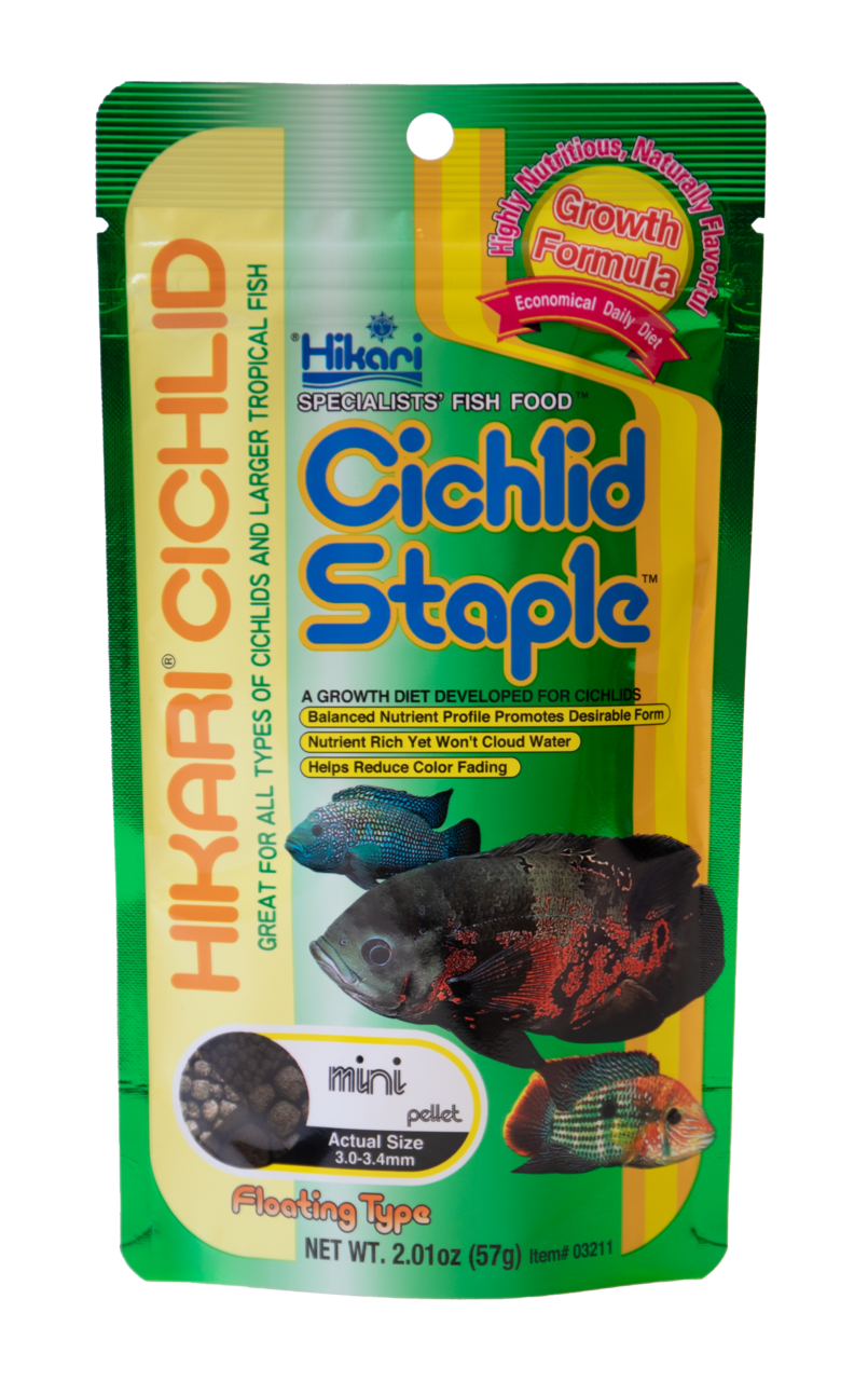 Hikari Cichlid Staple Mini 250g - Voedingsrijke Groei & Gezondheid Voer voor Carnivore Cichliden afbeelding