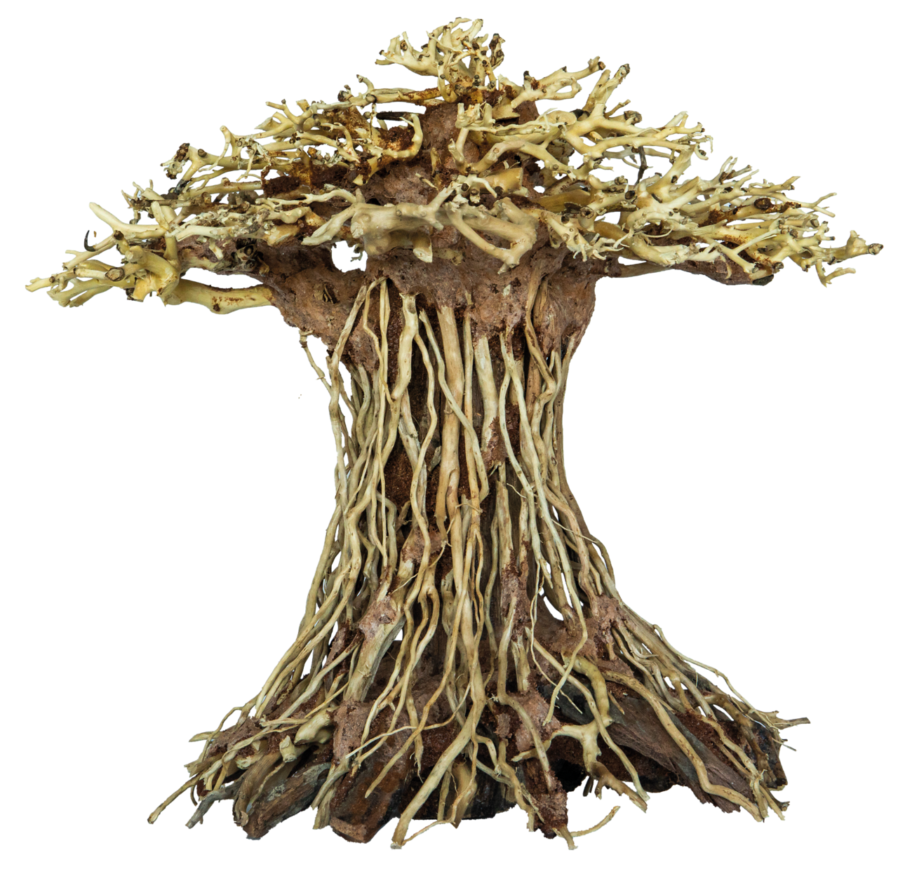 Superfish Bonsai Mushroom Large - Groot Aquarium Kunstwerk, Handgemodelleerde Natuurgetrouwe Decoratie afbeelding