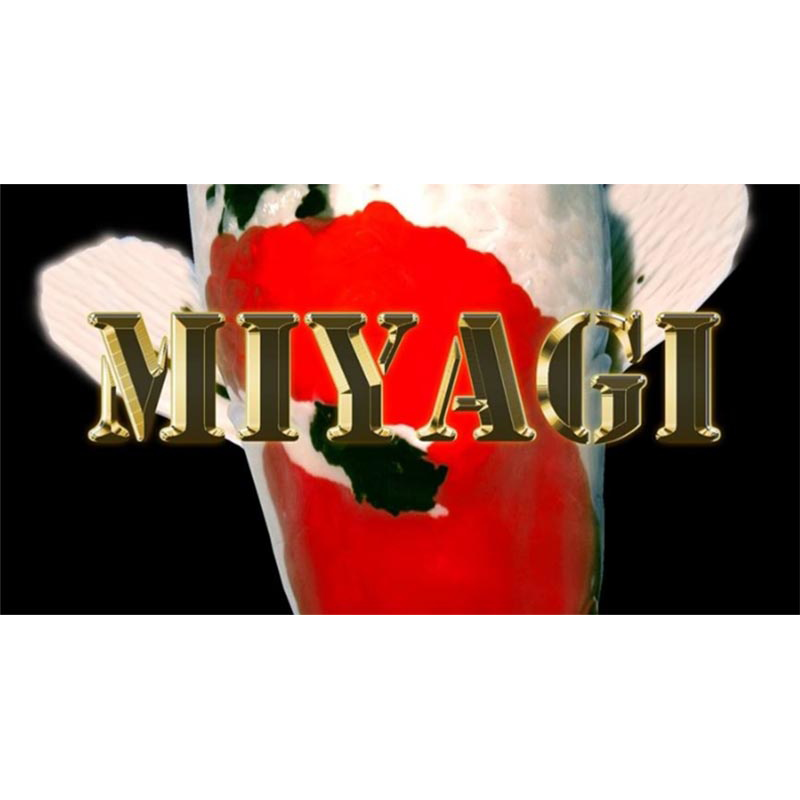 Miyagi