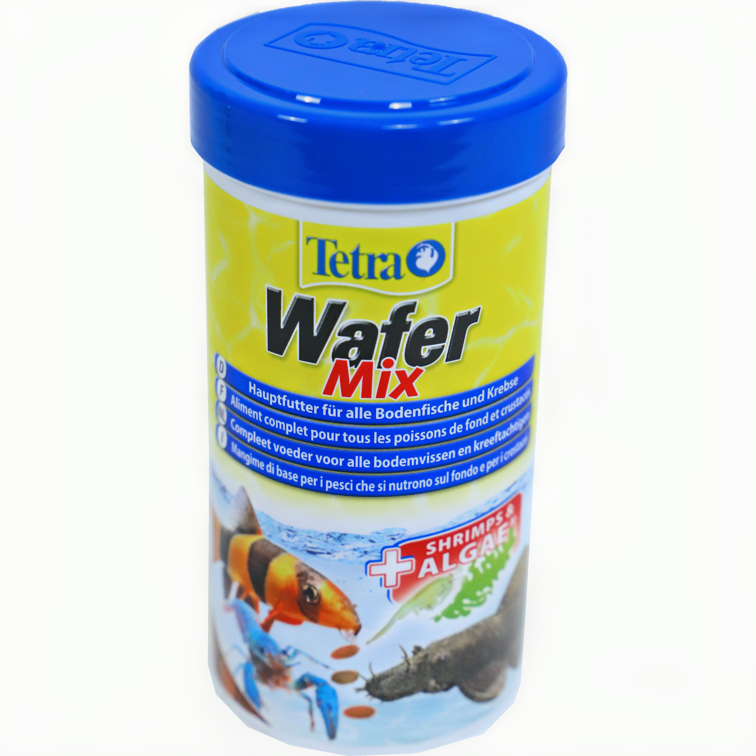 Animal, Fish, Sea Life, Can, Tin