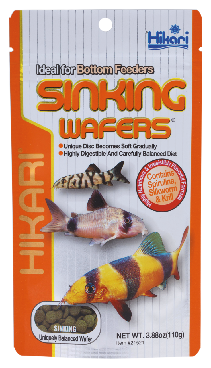 Hikari Sinking Wafers 1kg - Voedzaam Aquarium Bodemvoer voor Kleine Vissen, Goede Spijsvertering afbeelding