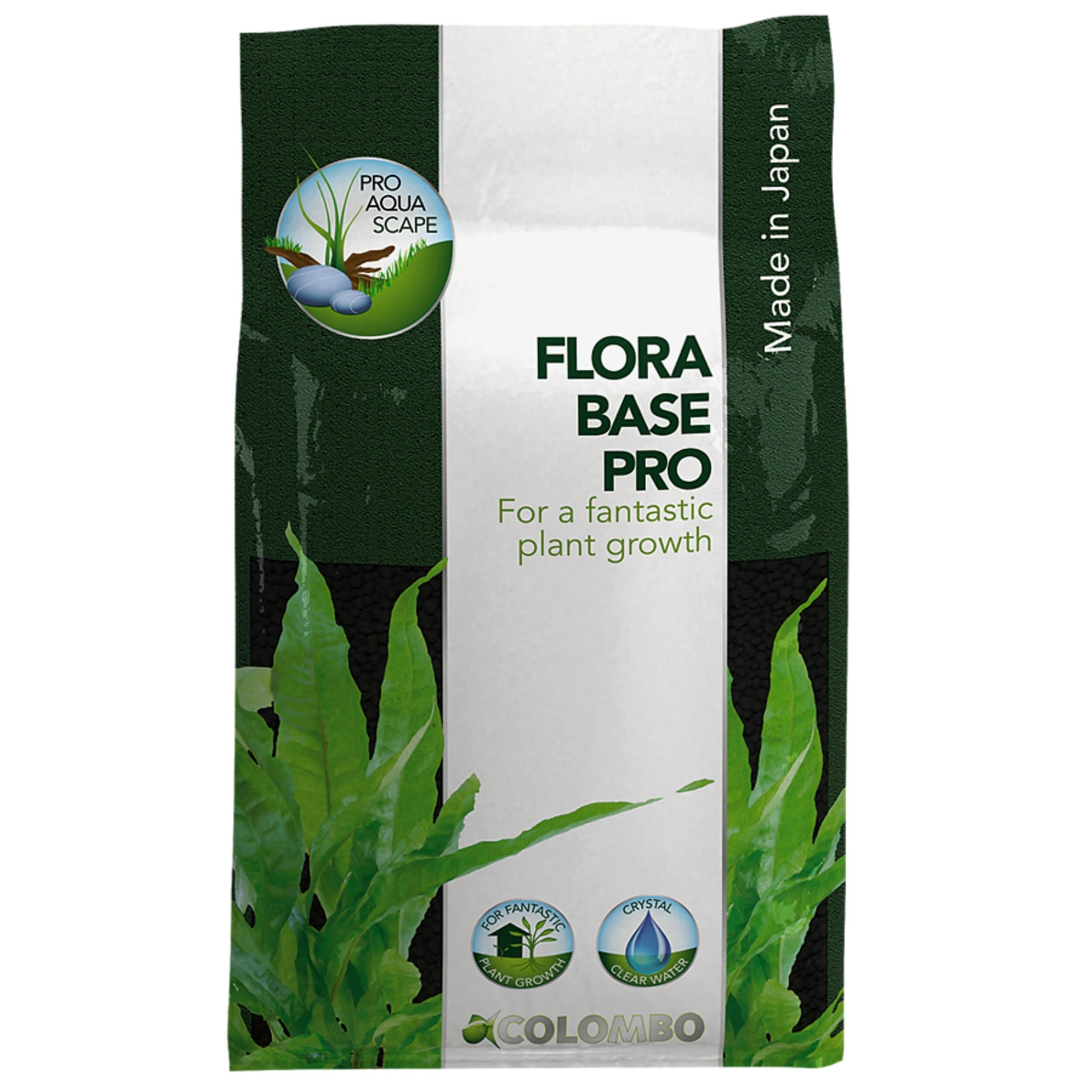Plant, Herbal, Herbs