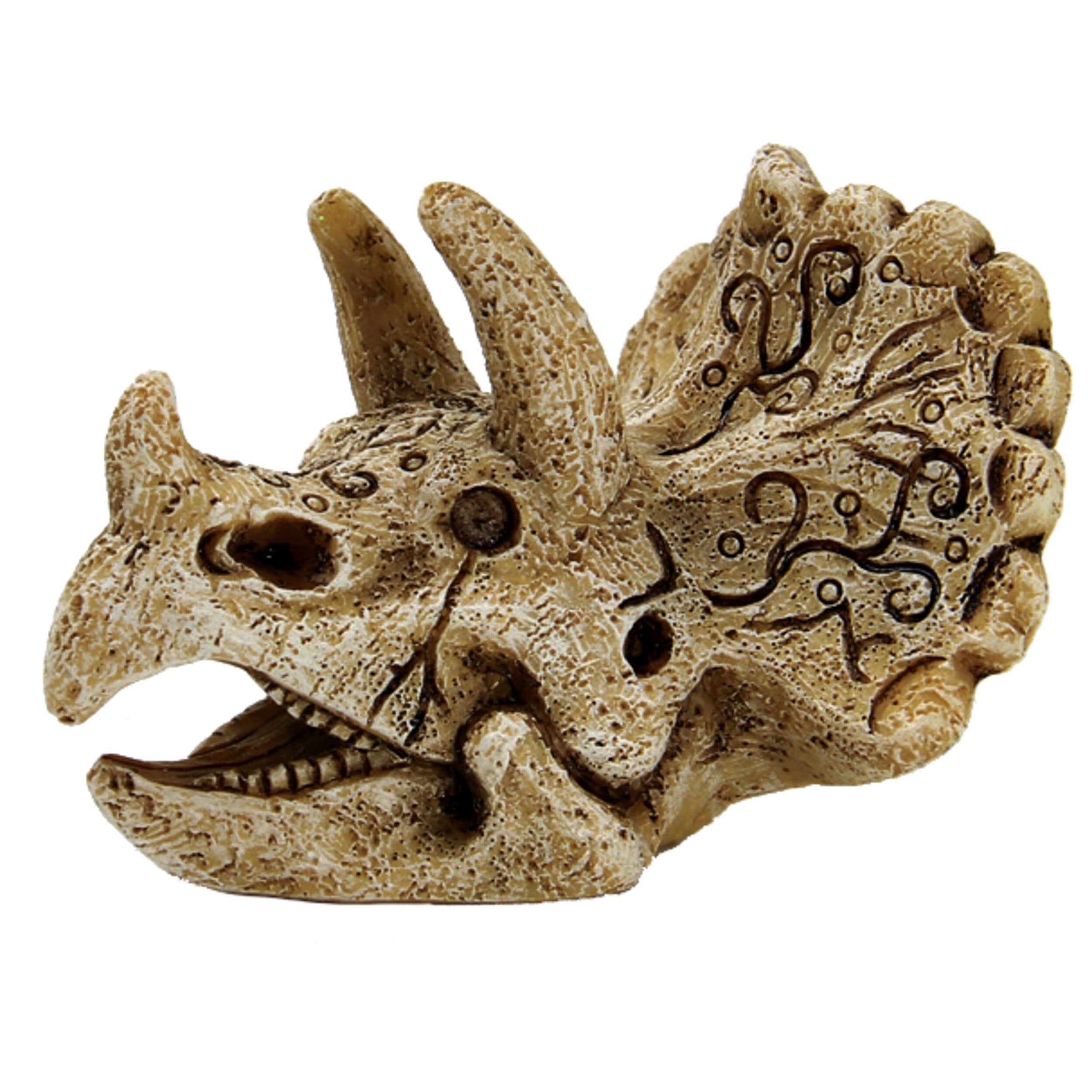 SuperFish skull triceratops s