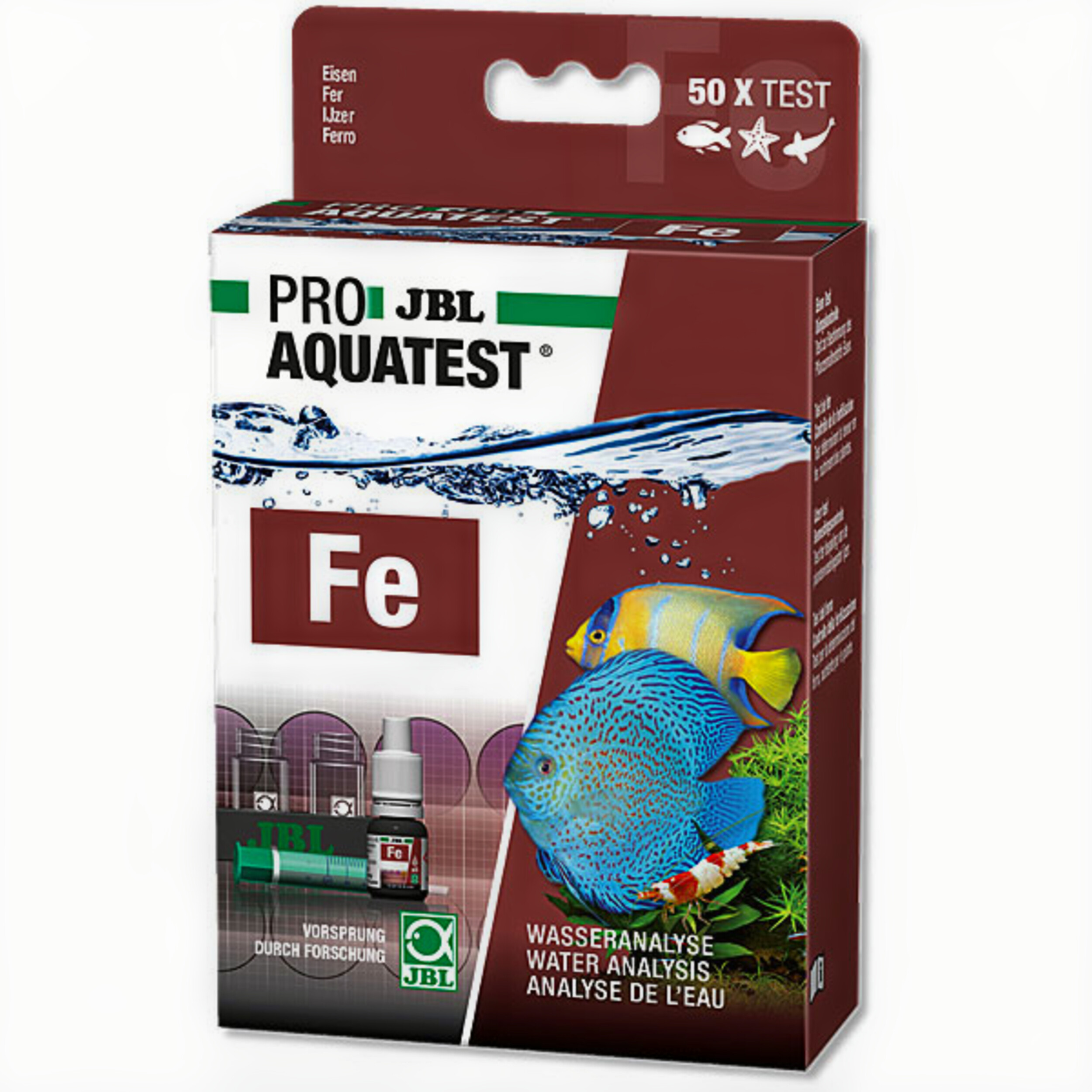 Animal, Fish, Sea Life