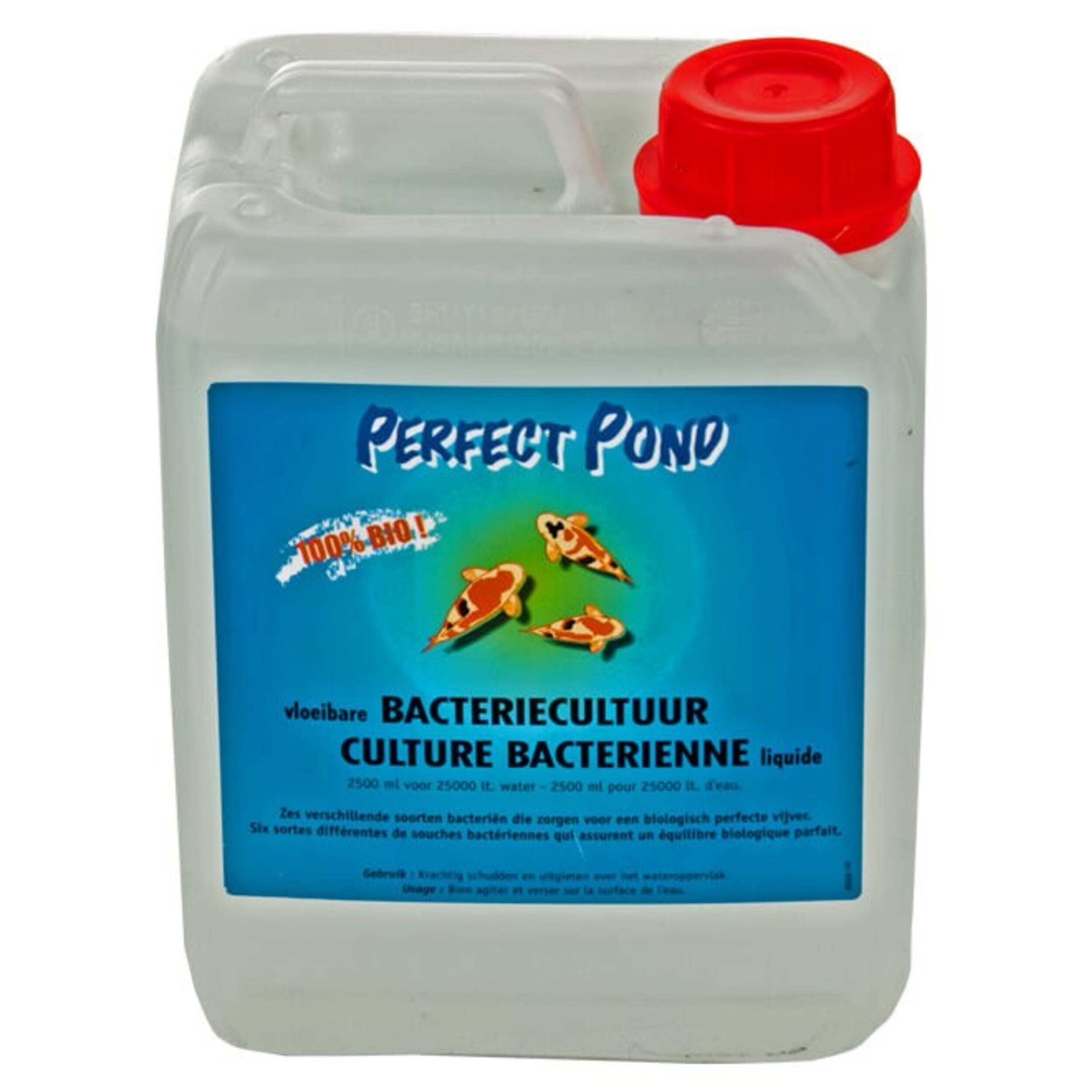 Bactéries liquides 2500