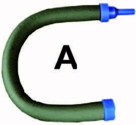 Hose, Animal, Reptile, Snake