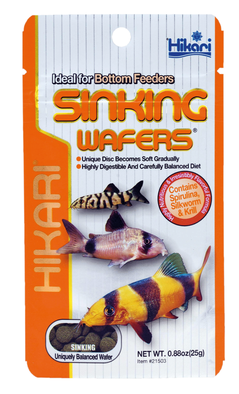 Hikari Sinking Wafers 25g - Verrijkt Bodemvisvoer Corydoras & Botia met Immuunboost afbeelding