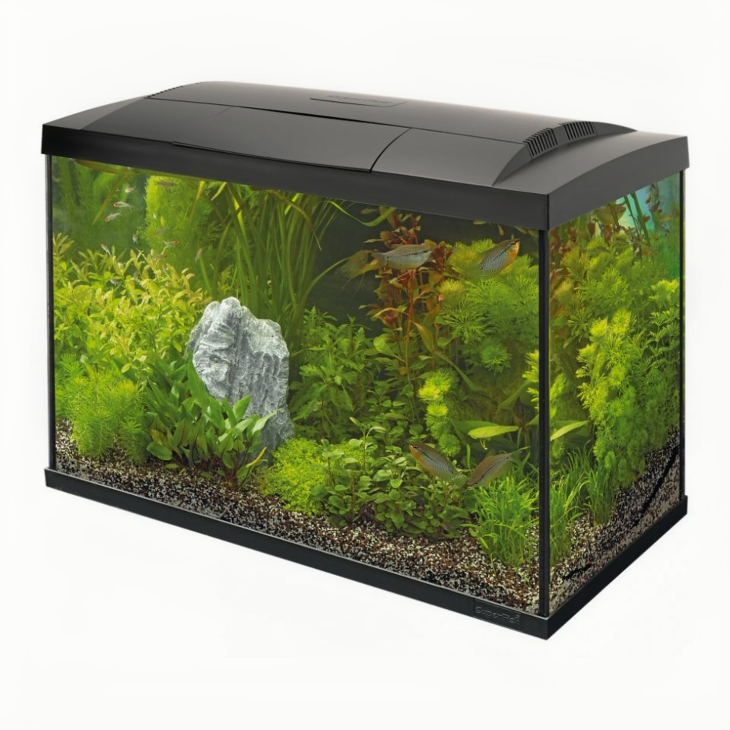 Superfish Start 70 Tropical Kit Zwart - 60L Compleet Aquarium met LED & Filter