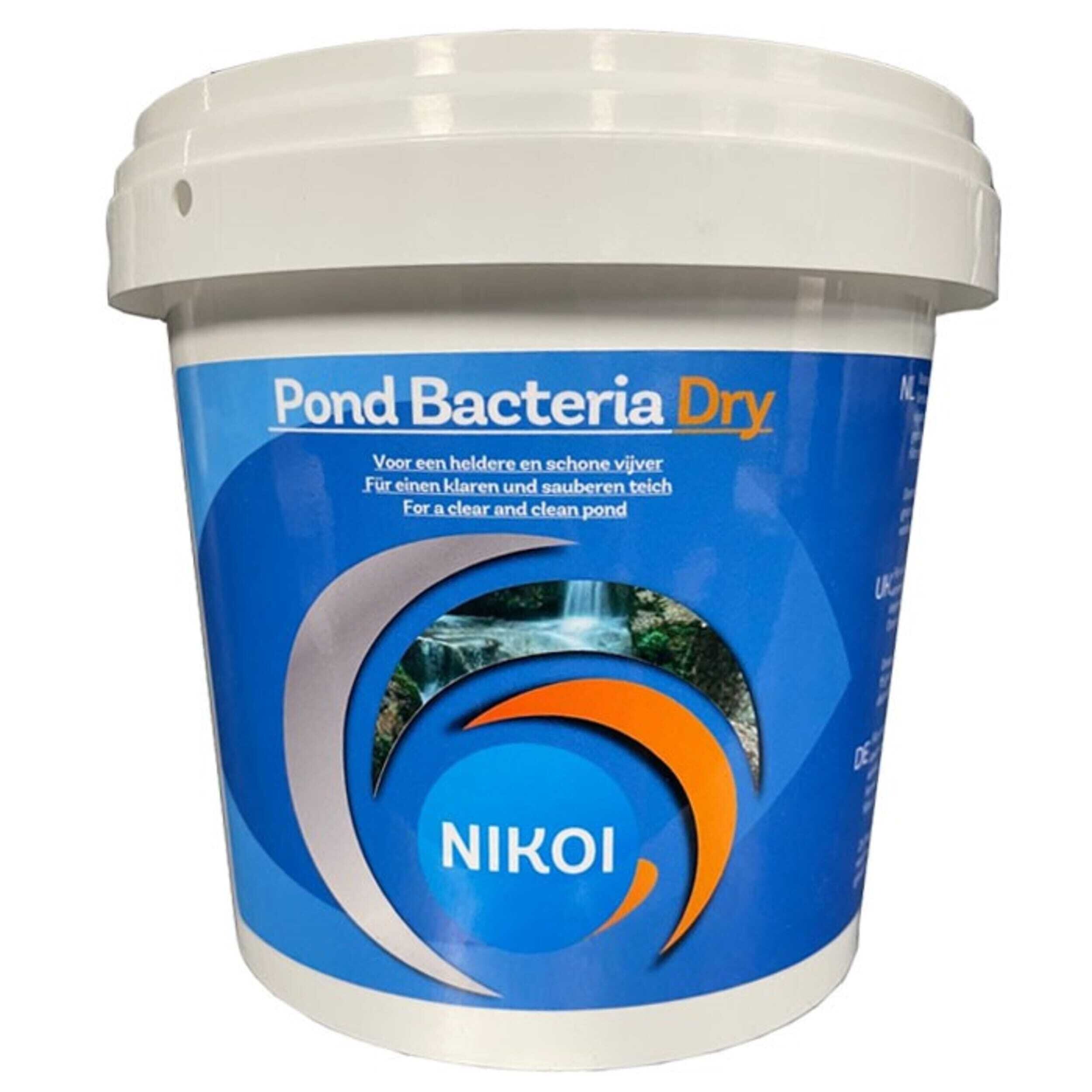 Pound bacteria dry - 1000gr Dessert, Food, Yogurt, Bottle, Shaker