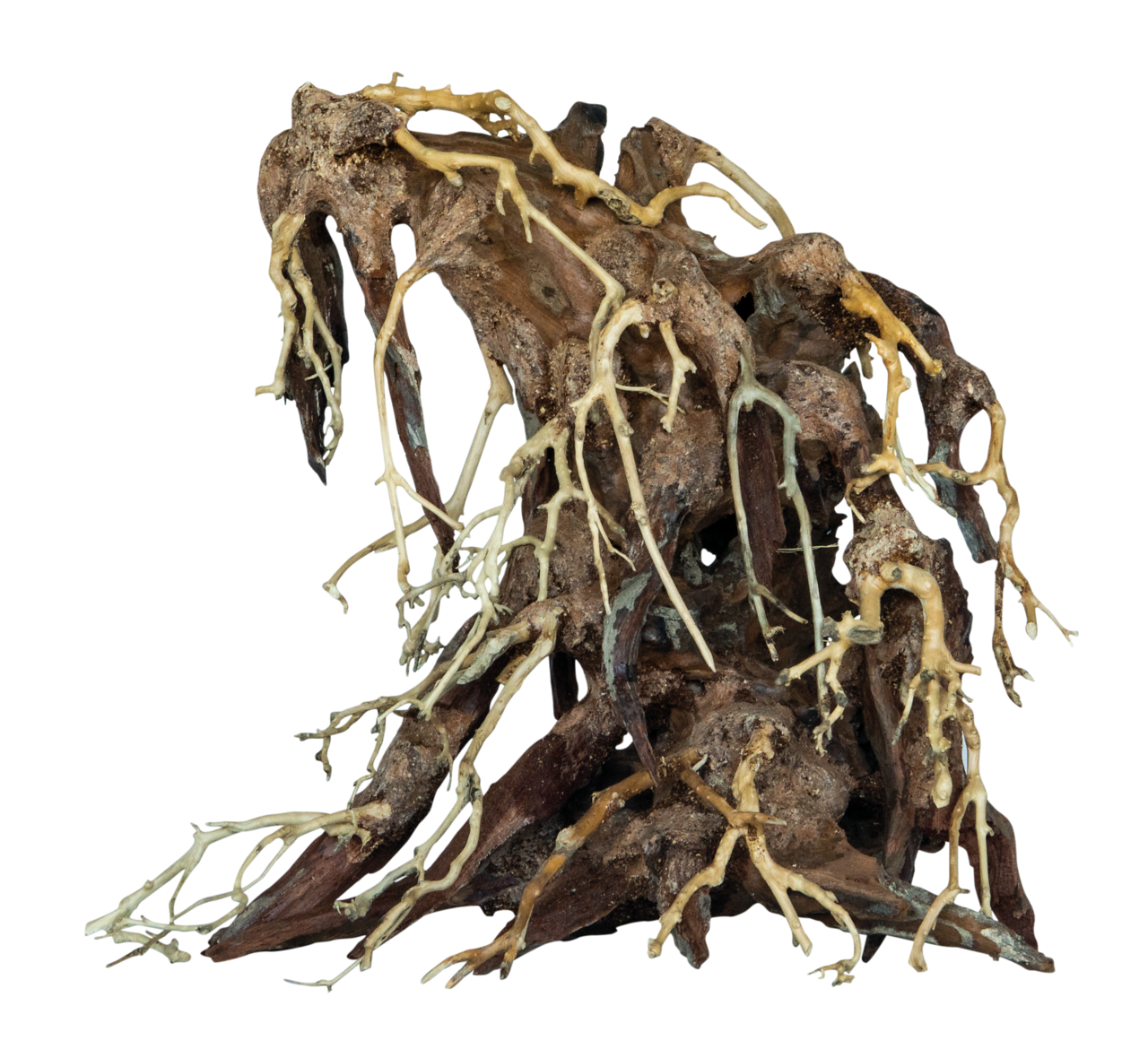 Superfish Bonsai Root Medium - Veilig, Natuurlijk Houtdecor voor Aquariums, Medium Maat afbeelding