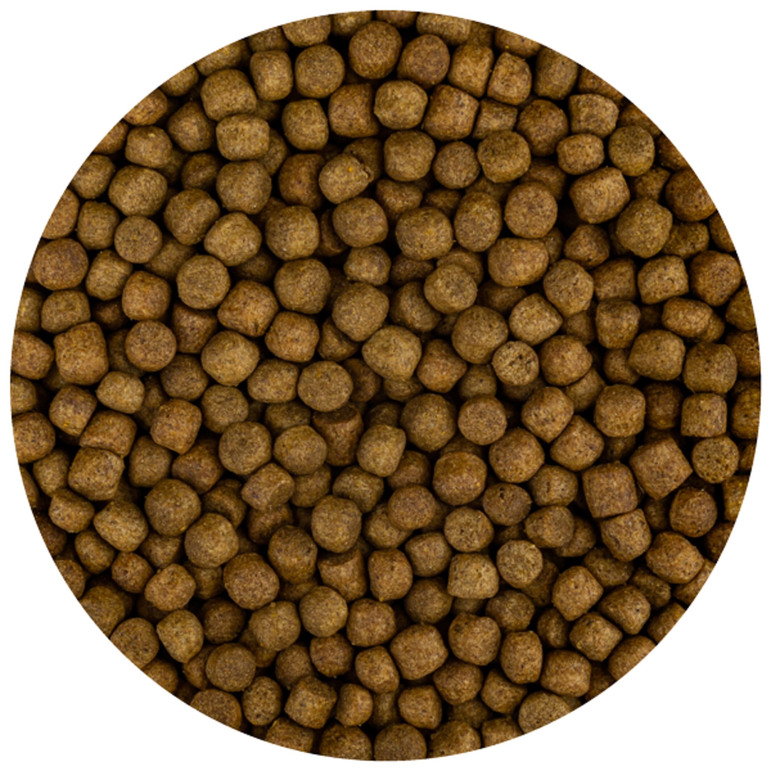 Build-Up Extra M 5.7 mm (3 kilos)