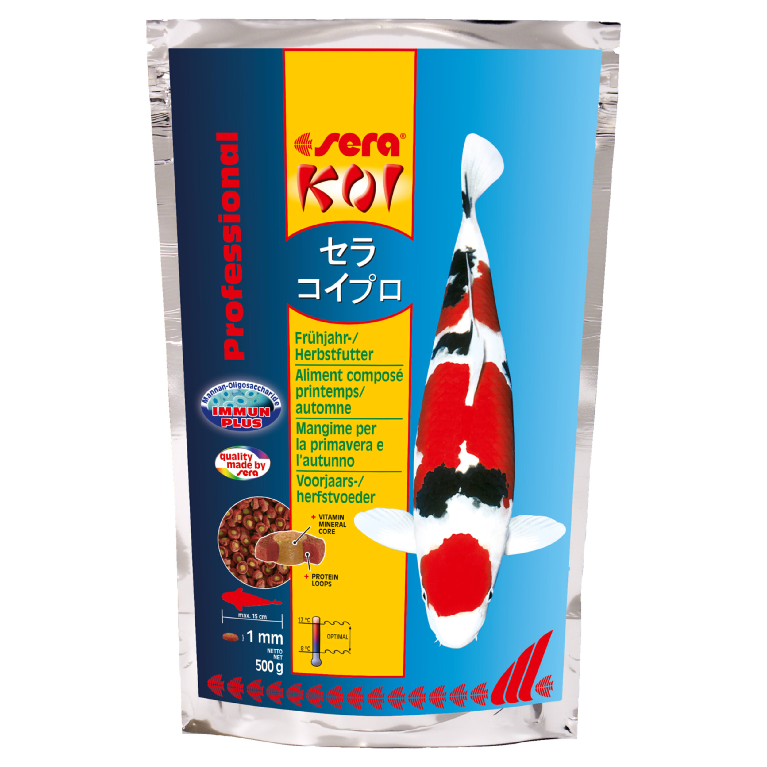 Animal, Carp, Fish, Sea Life, Koi