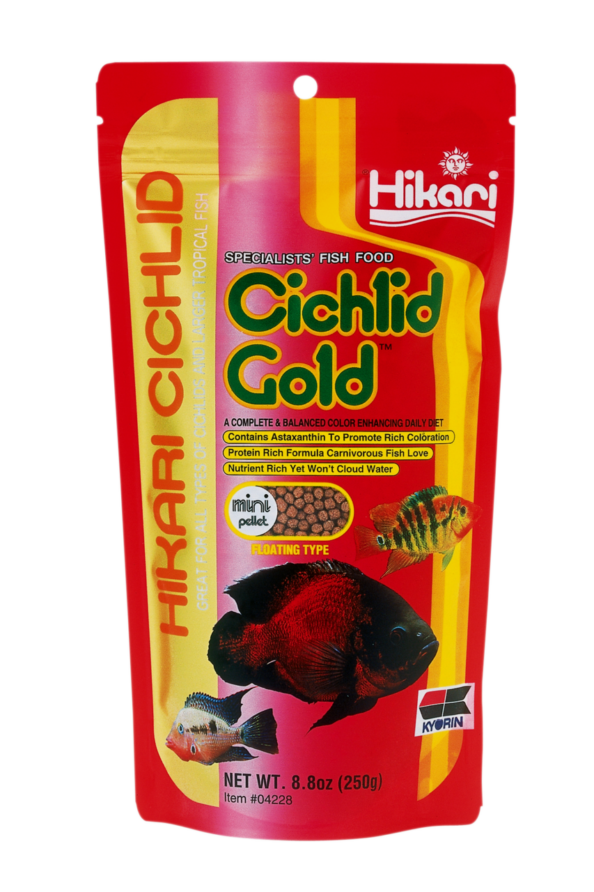 Hikari Cichlid Gold Mini 250g - Kleurversterkend Visvoer voor Carnivore Cichliden afbeelding