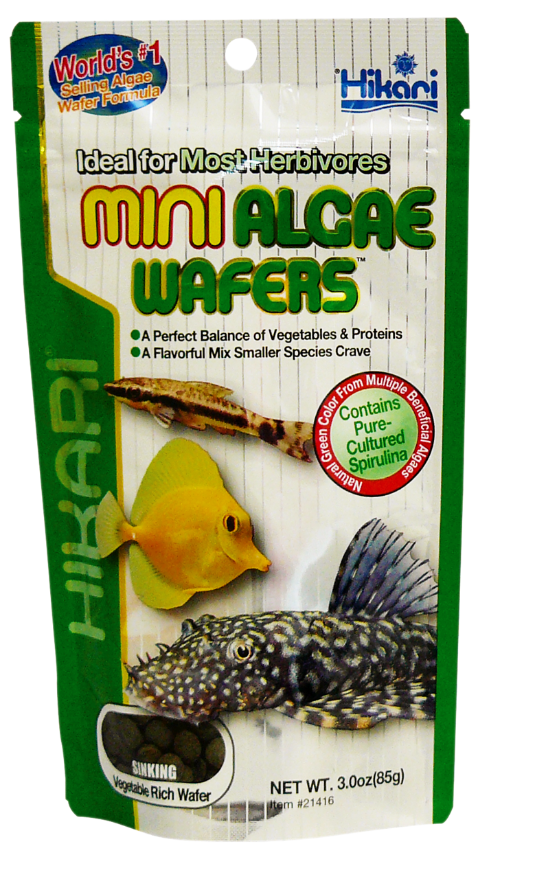 Hikari Mini Algae Wafers 85g - Optimaal Voer voor Kleinere Algeneters & Zeewater Herbivoren afbeelding