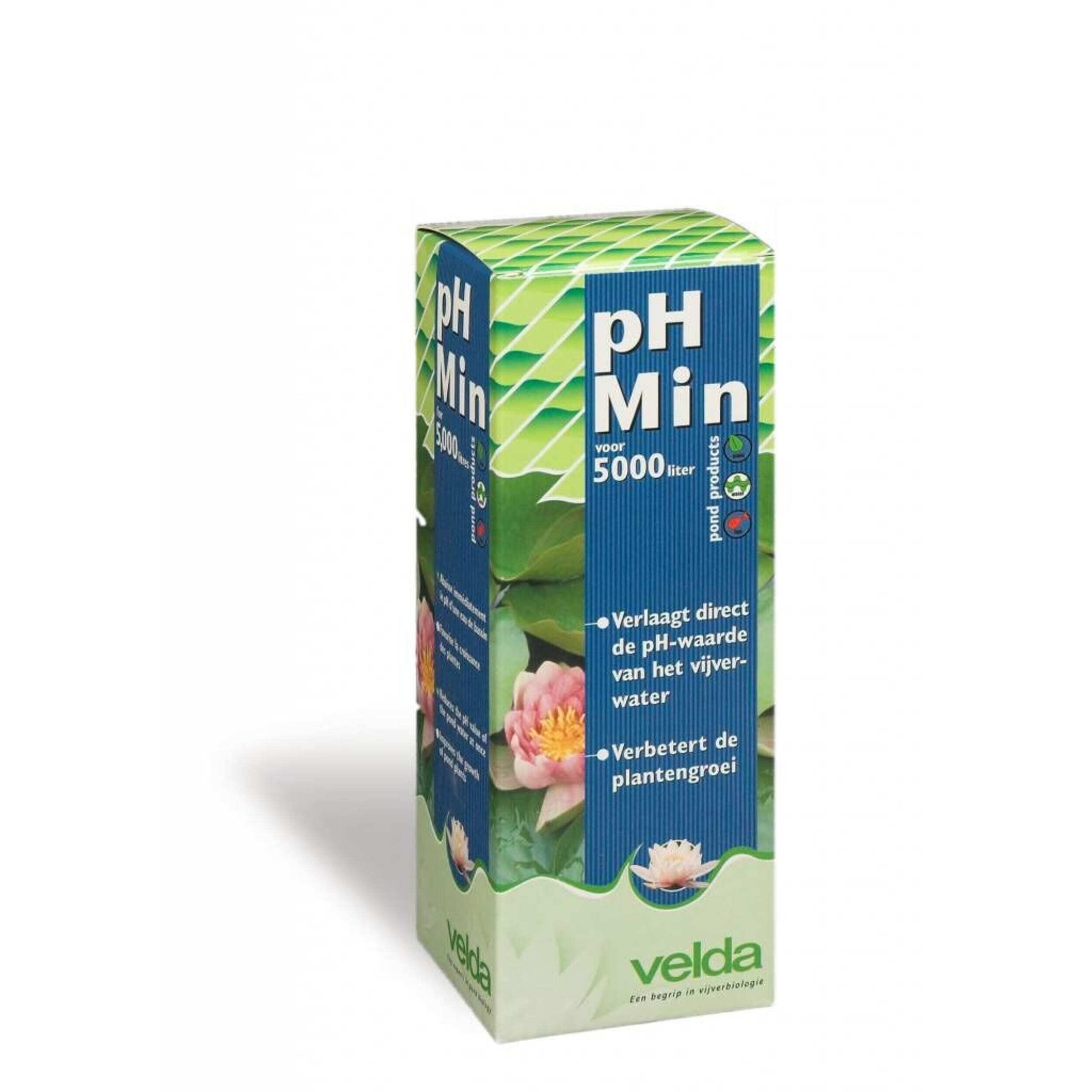 Herbal, Herbs, Plant, Seasoning, Syrup
