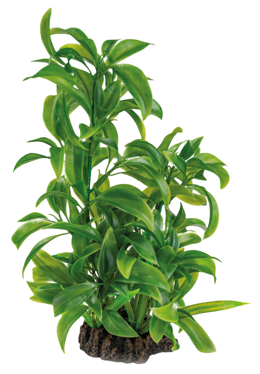 Superfish Art Plant 25cm Dracaena - Natuurgetrouwe Kunstplant voor Aquarium Decor afbeelding