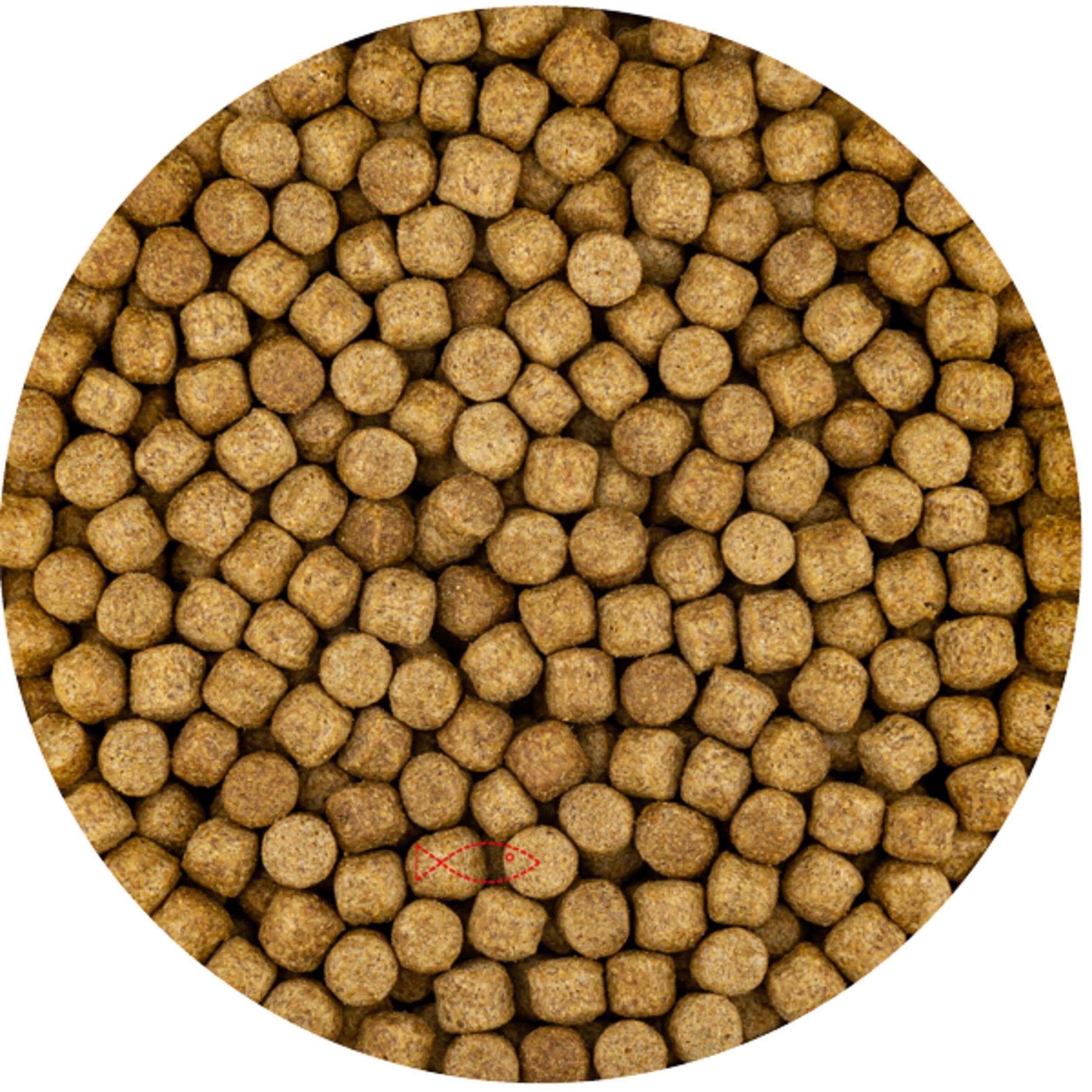 Wheat Germ 6mm (15 Kilo Zak)