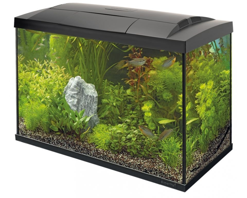 Superfish Start 70 Tropical Kit Zwart - 60L Compleet Aquarium met LED & Filter afbeelding