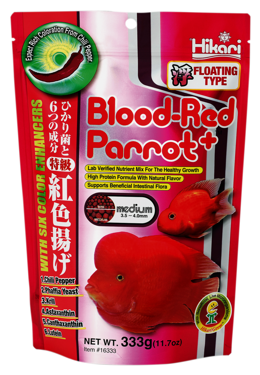 Blood-Red Parrot Medium 333 Gram
