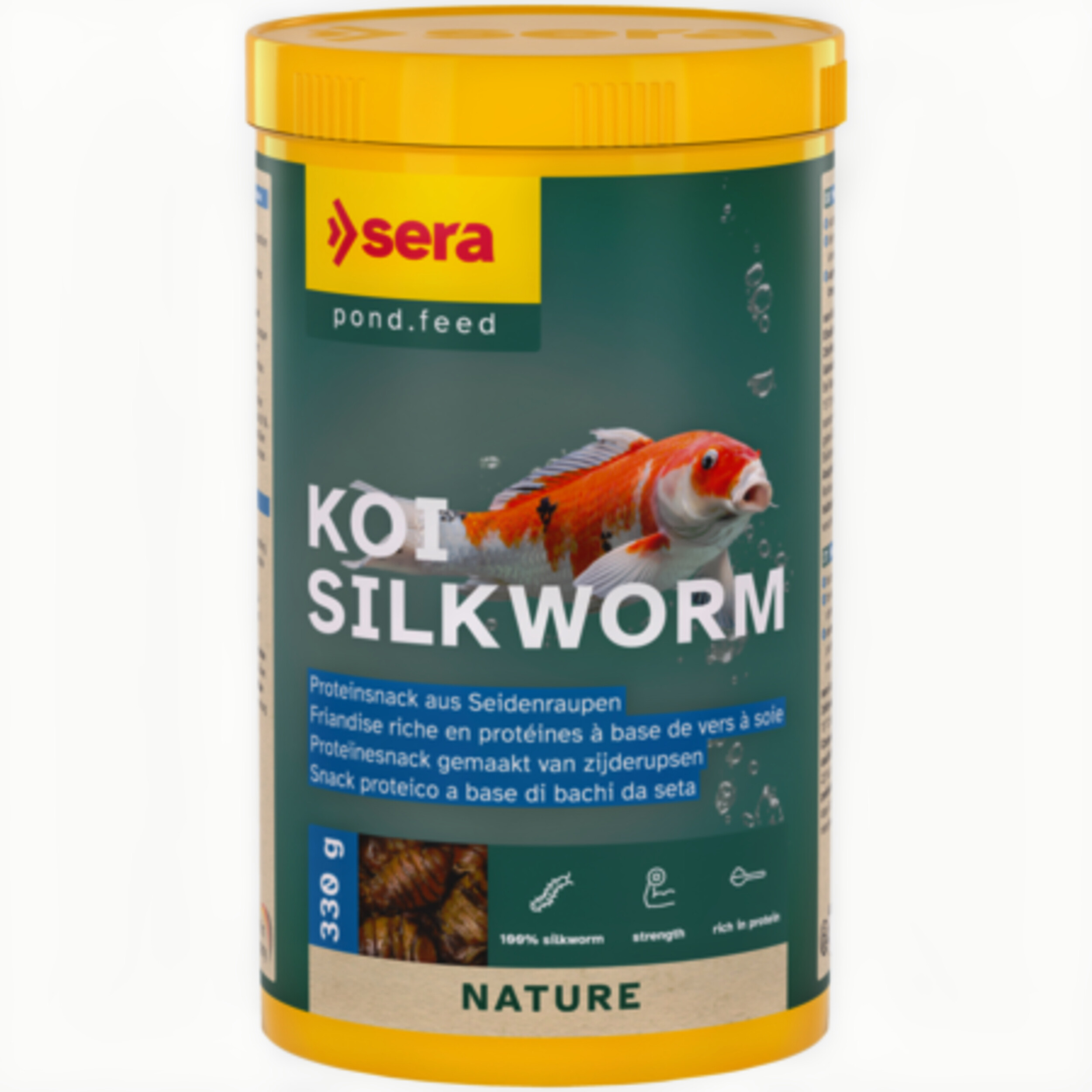Koi Silkworm Nature