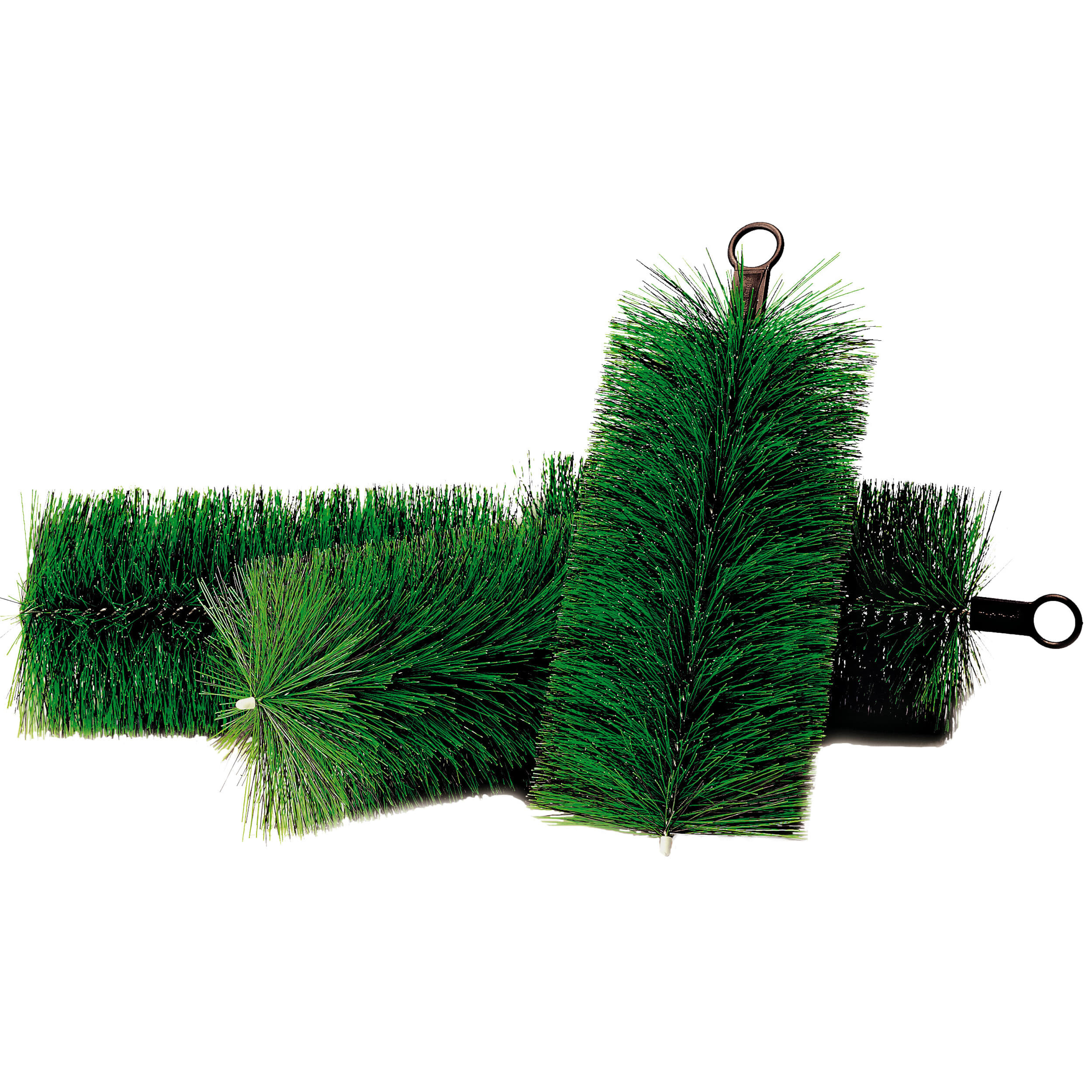 Plant, Tree, Pine, Grass, Potted Plant