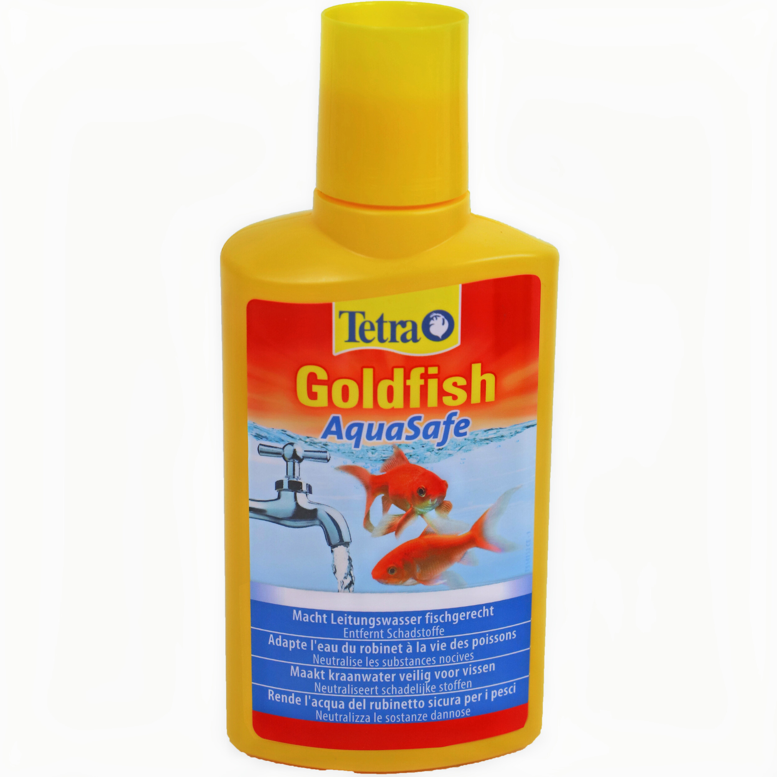 Bottle, Animal, Fish, Sea Life