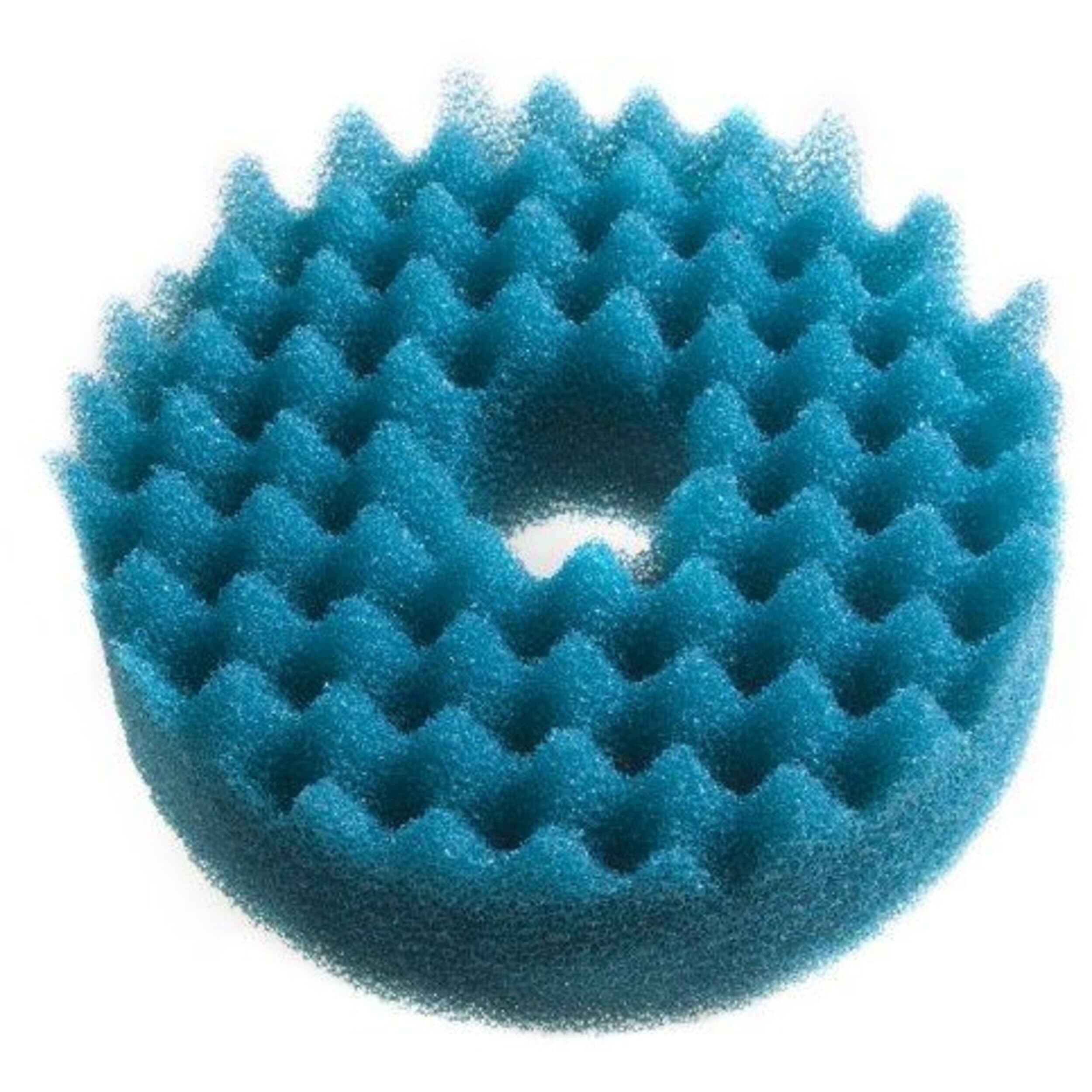 Foam