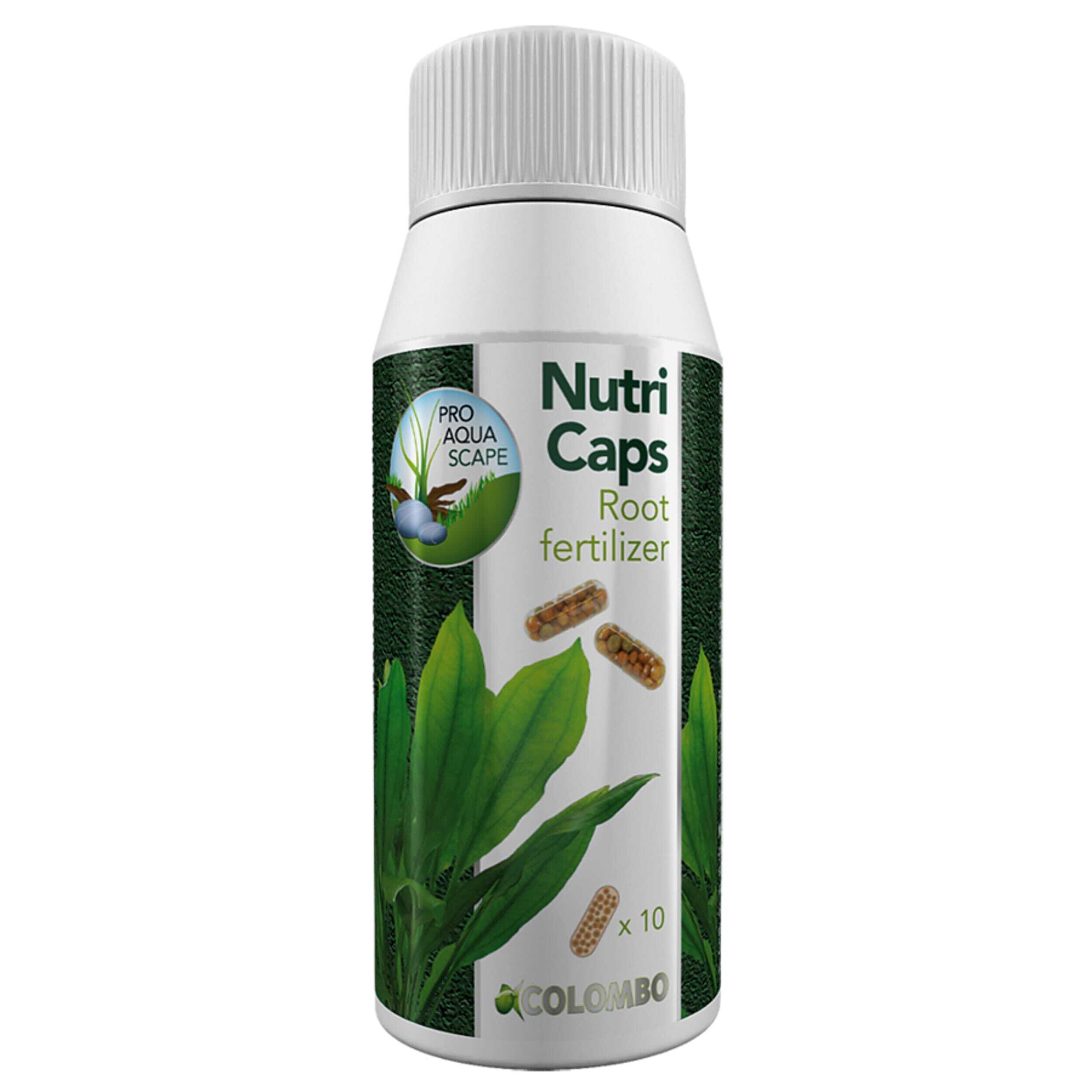 Herbal, Herbs, Plant, Bottle, Shaker