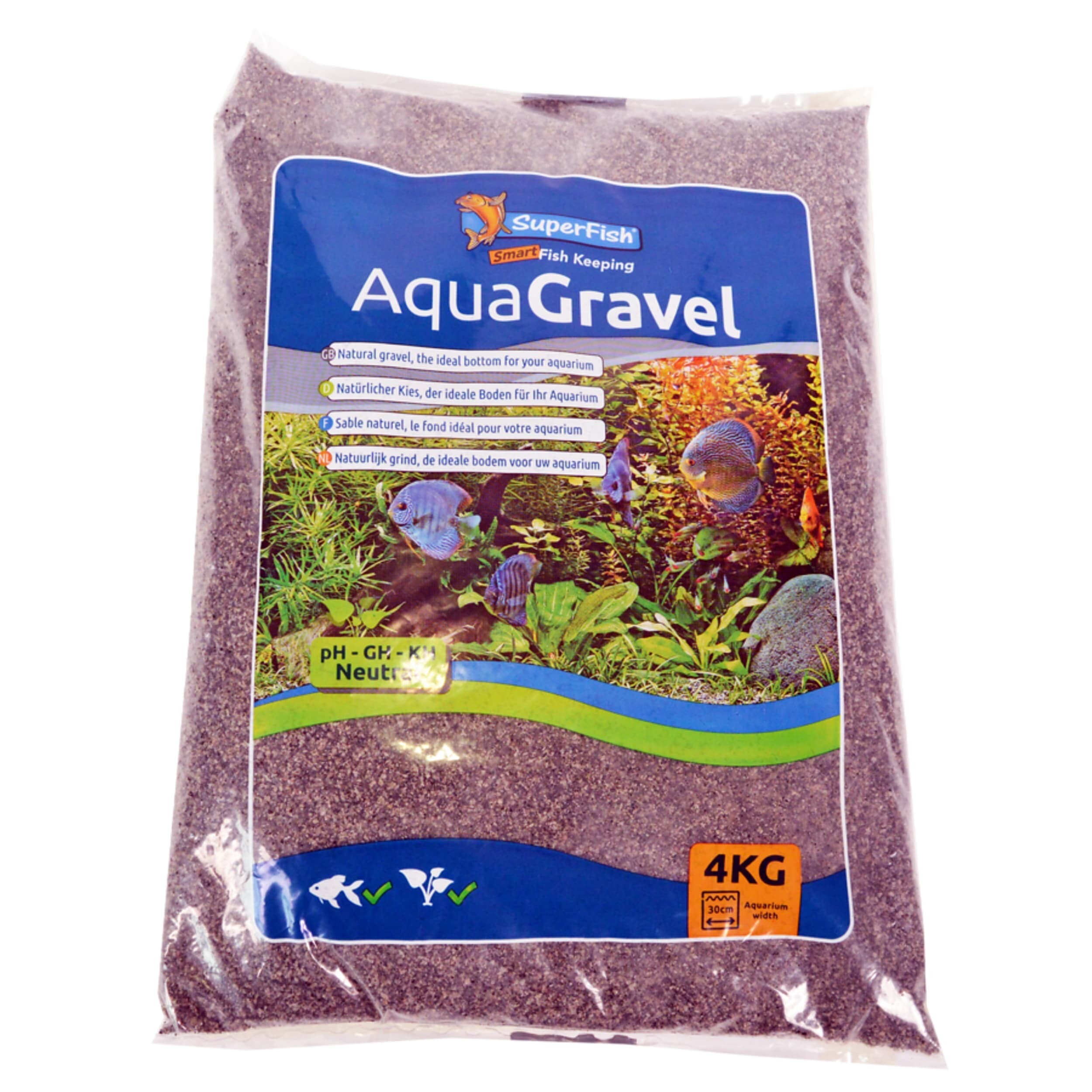 Flax, Plant, Fish, Sea Life, Produce