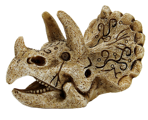 Superfish Skull Triceratops S - Unieke Prehistorische Aquarium Decoratie & Schuilplaats afbeelding