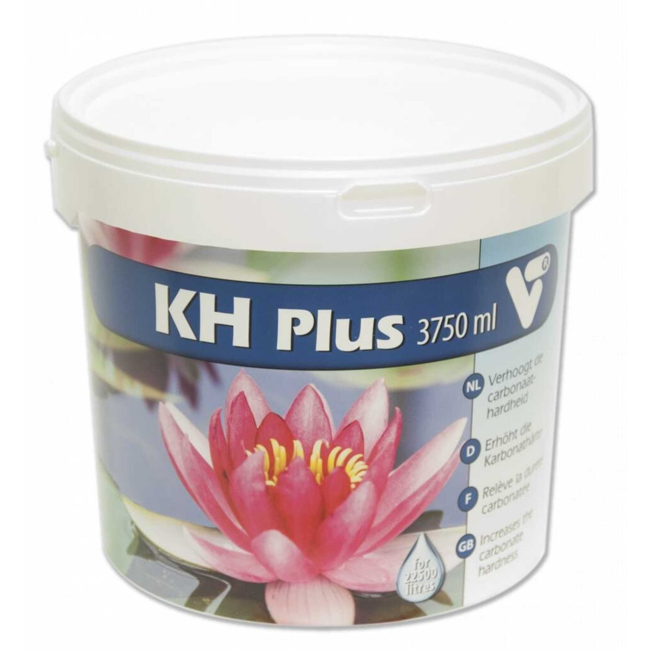 Flower, Plant, Dessert, Food, Yogurt