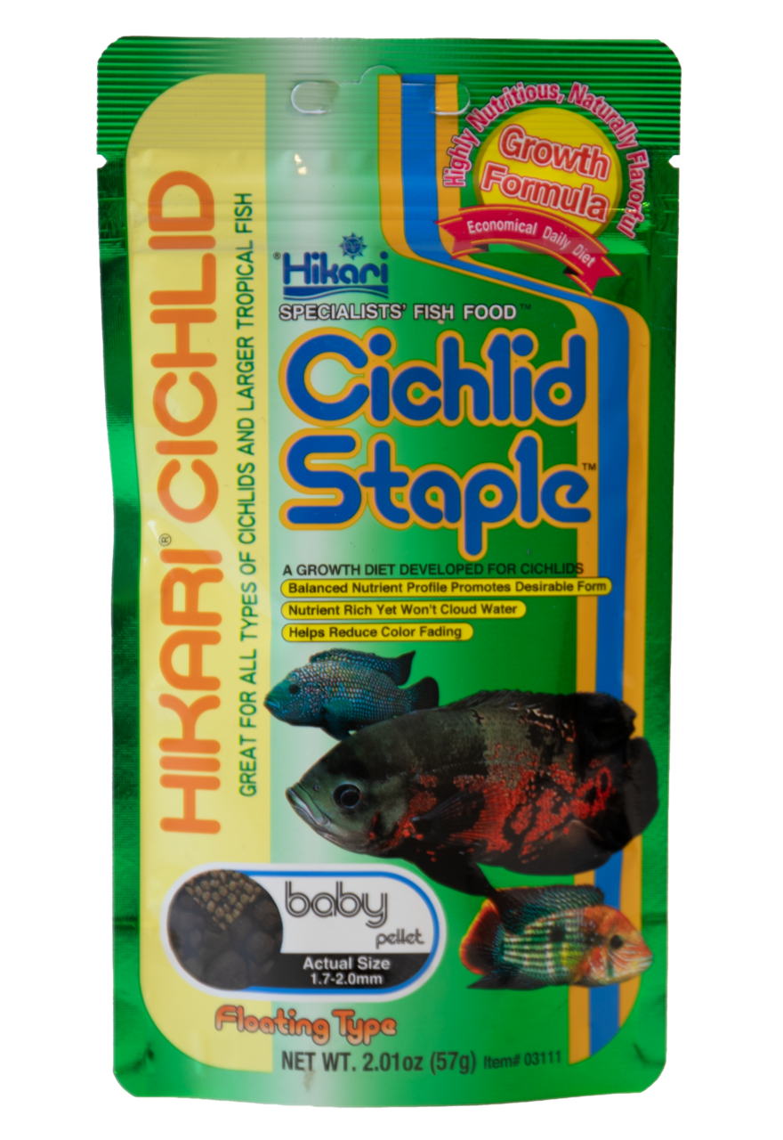 Hikari Cichlid Staple Baby Voer 57g - Complete Groeivoeding voor Jonge Cichliden met Vitamine C afbeelding