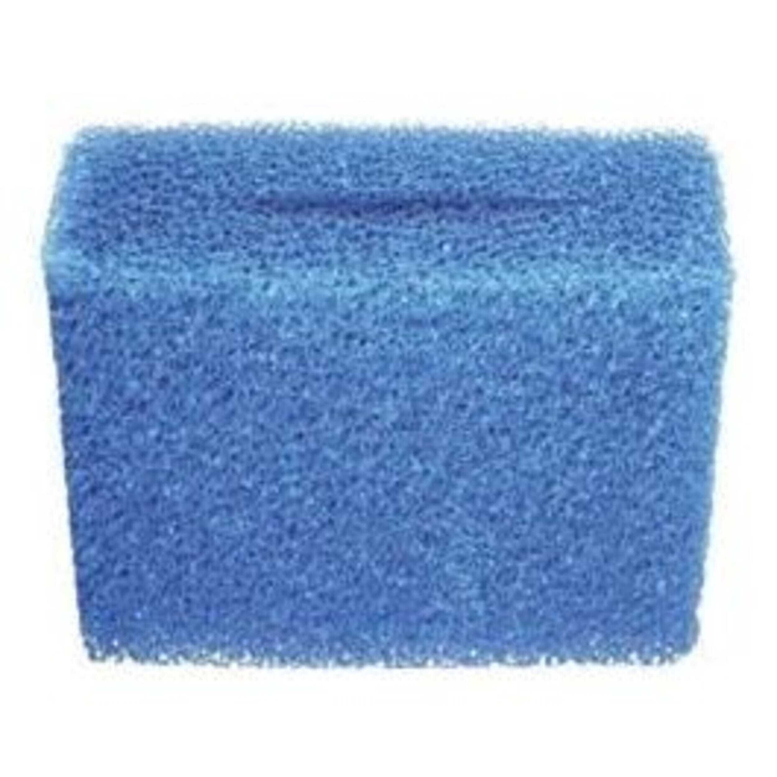 Sponge