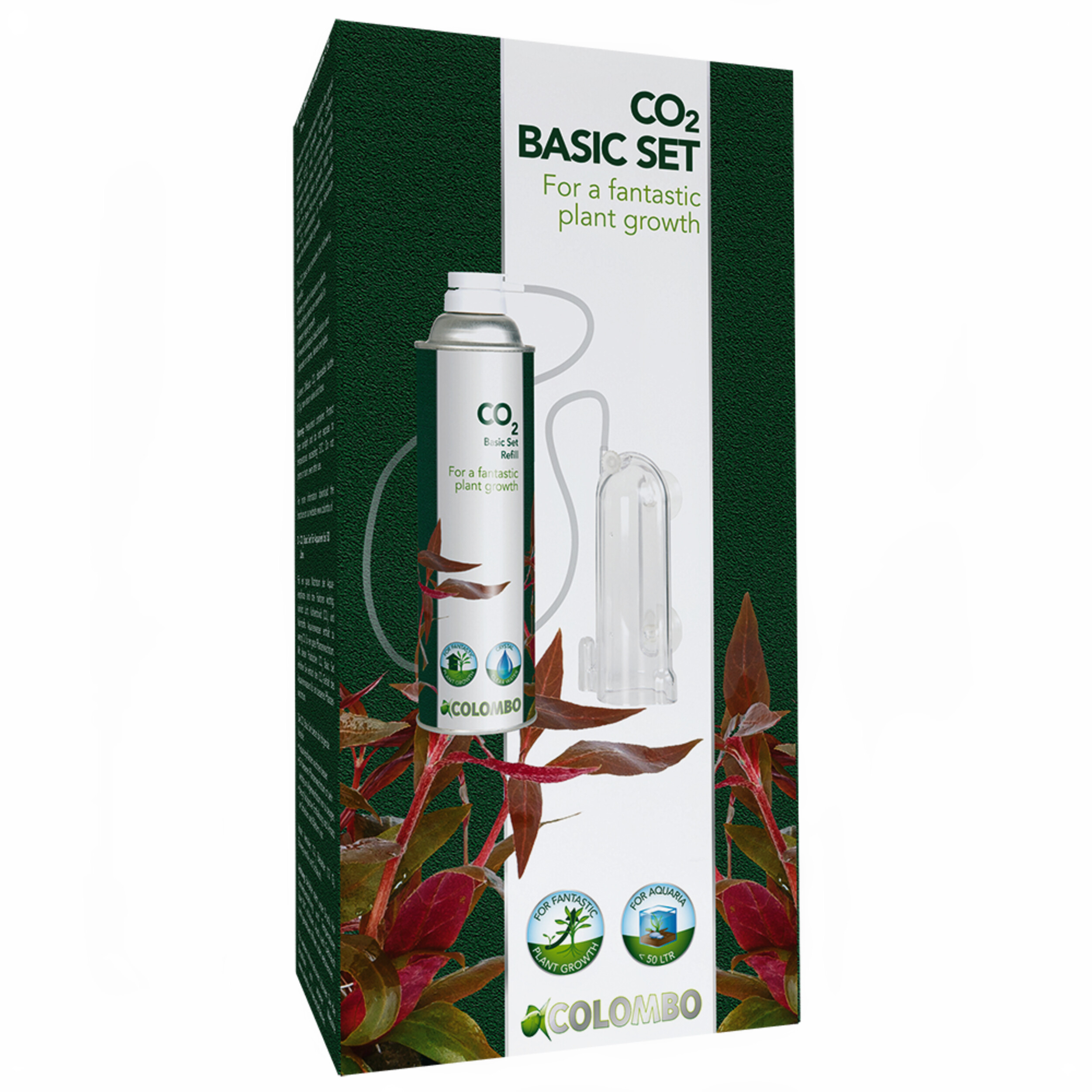 Herbal, Herbs, Plant, Bottle