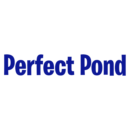 Perfect Pond