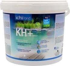 Herbal, Herbs, Plant, First Aid