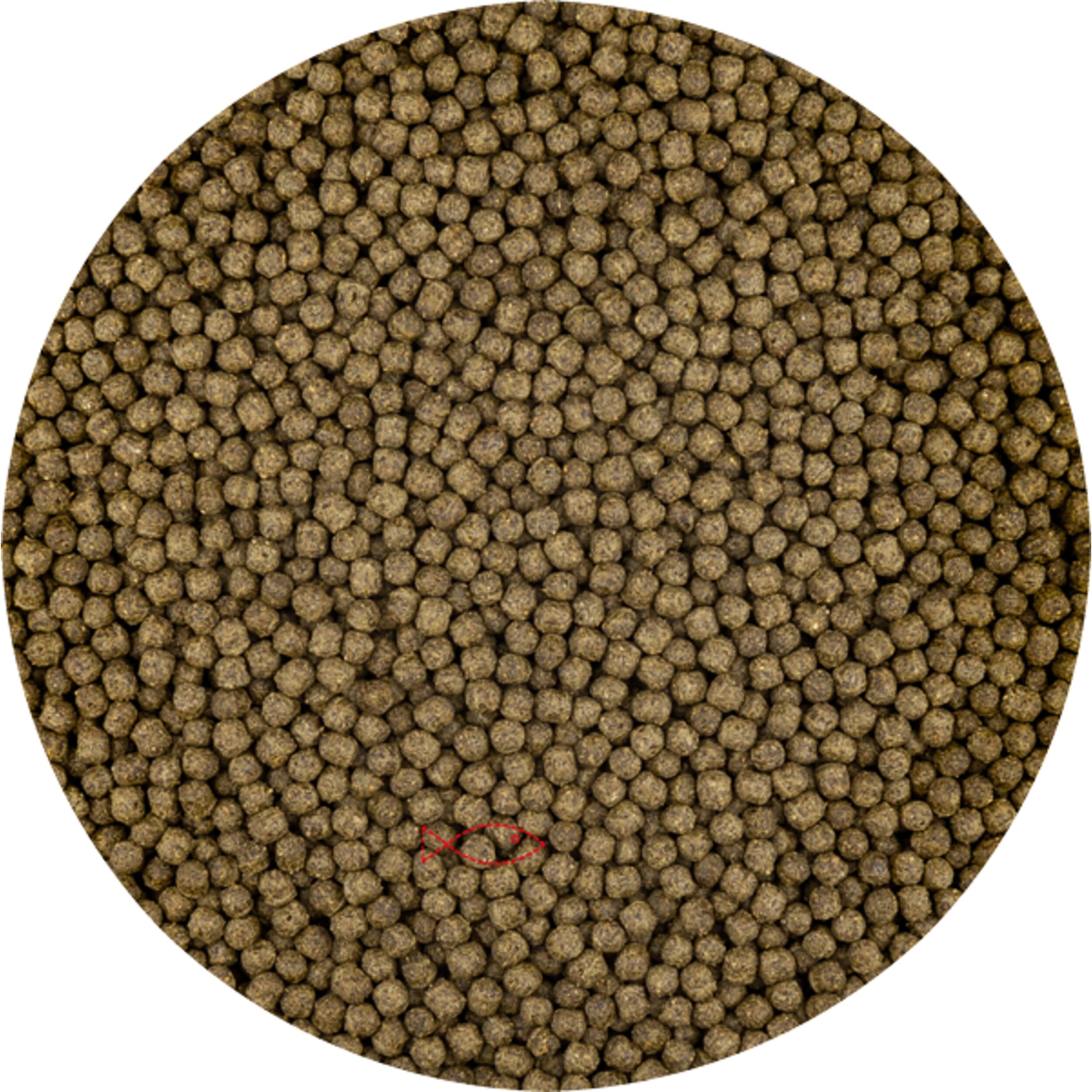 Vivani Color Koi Voer met Spirulina - Levendige Kleurenboost - 3mm Pellets 6kg