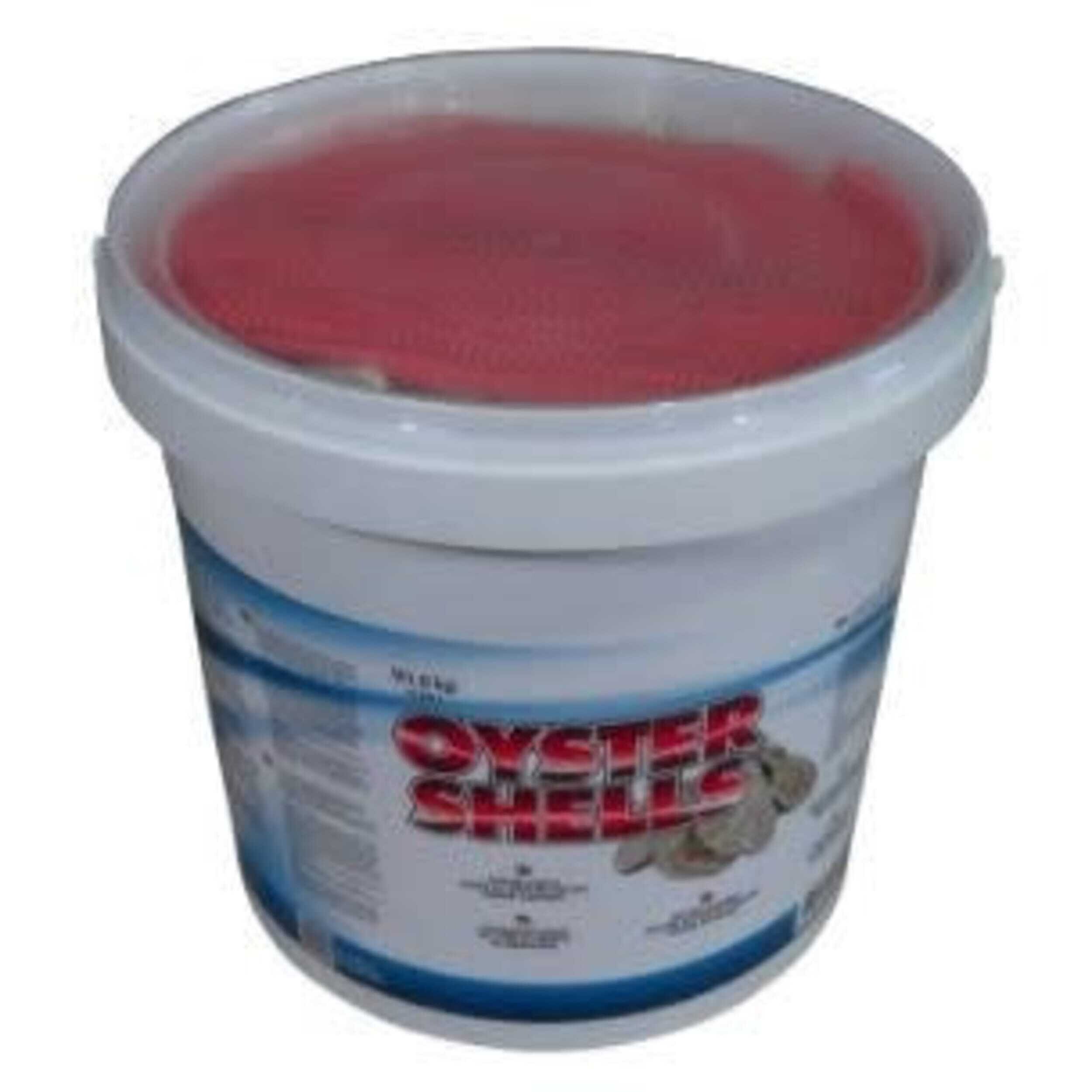 Dessert, Food, Yogurt, Cup