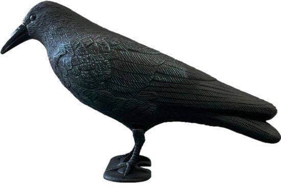 Superfish Deco Vogel Kraai - Weerbestendig Tuinornament en Effectieve Vogelverschrikker, 38 cm afbeelding