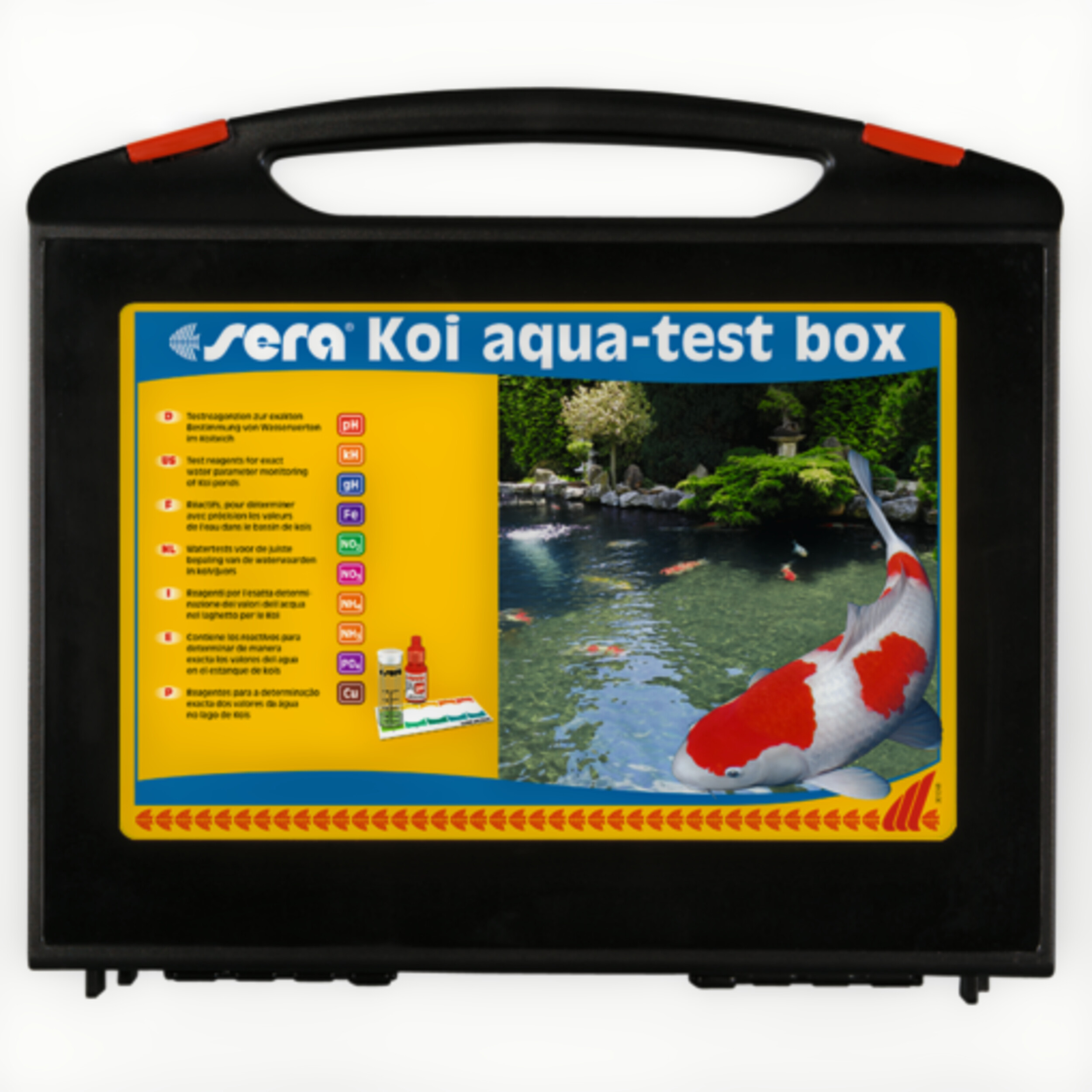Computer Hardware, Monitor, Screen, Fish, Sea Life