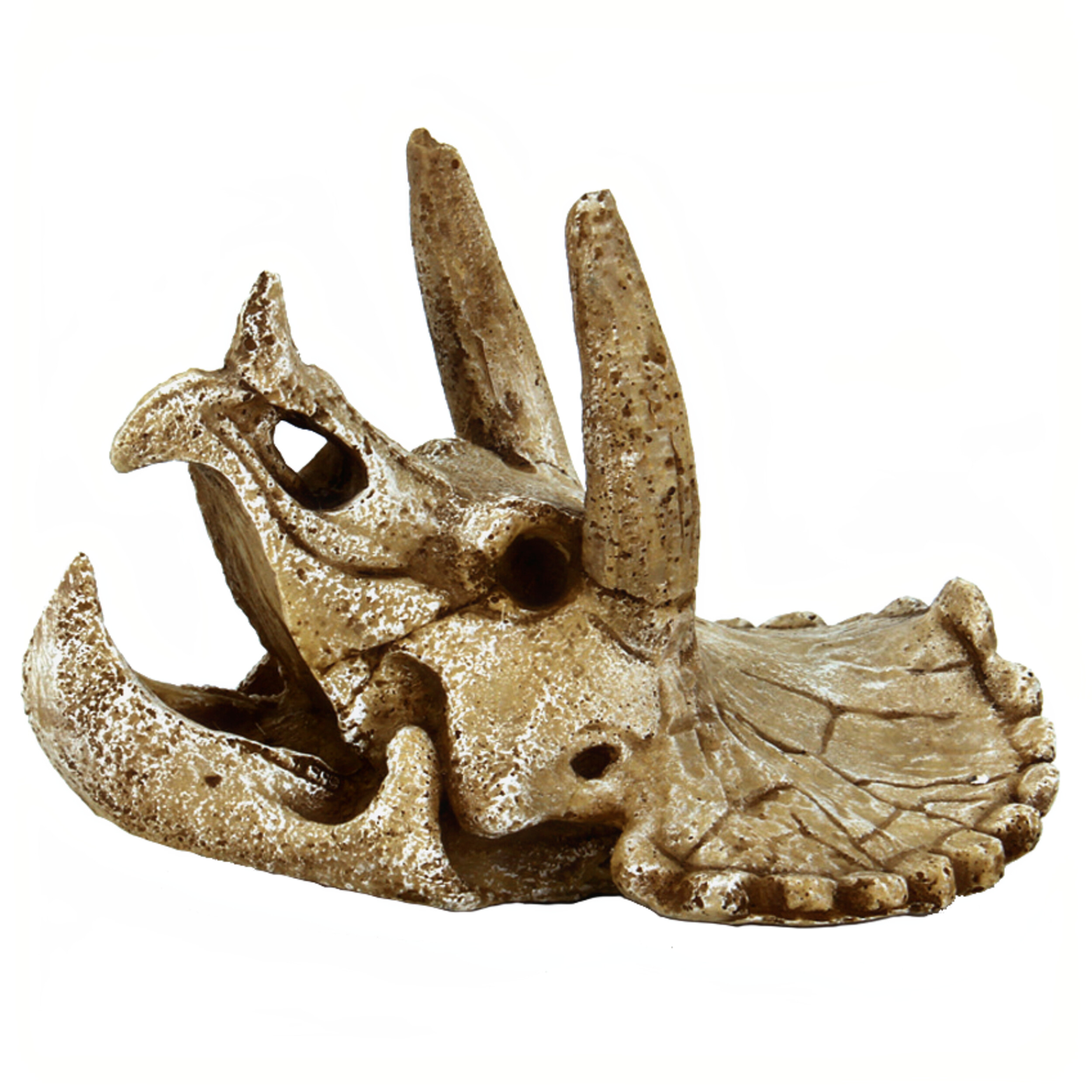 SuperFish skull triceratops m
