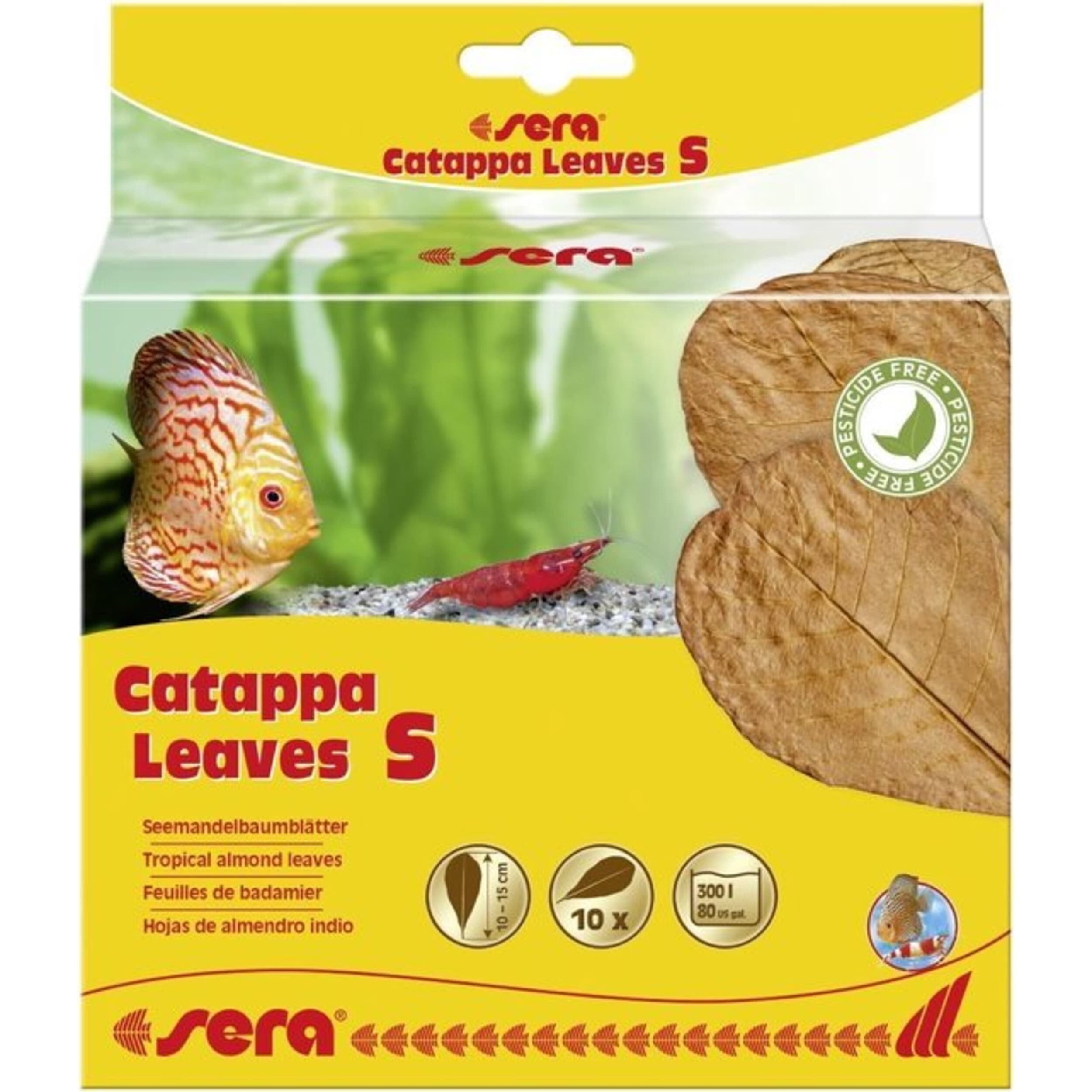 Sera Catappa Leaves S 10-15cm - Waterkwaliteit Verbeteraar voor Aquaria, Set van 10