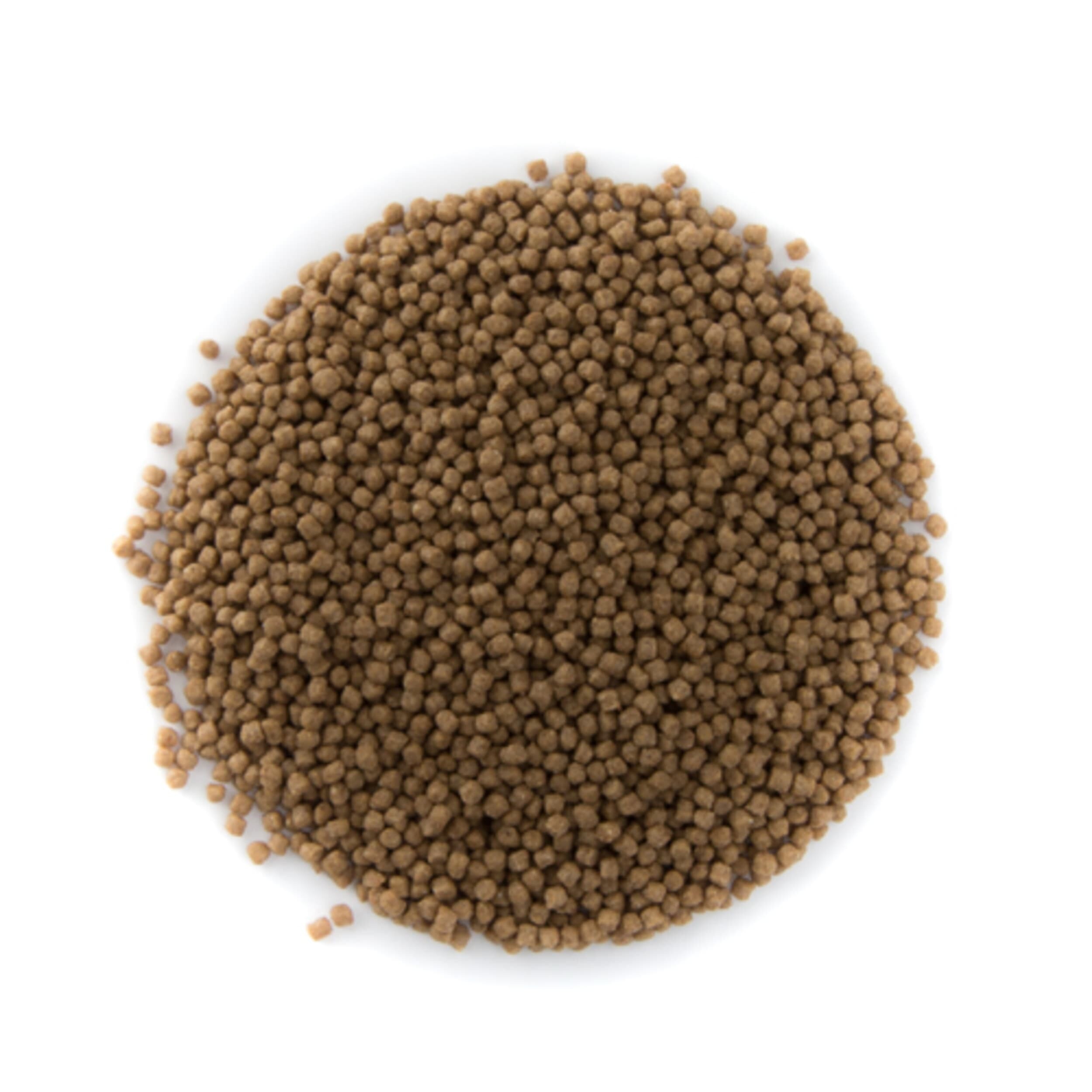 Food, Mustard