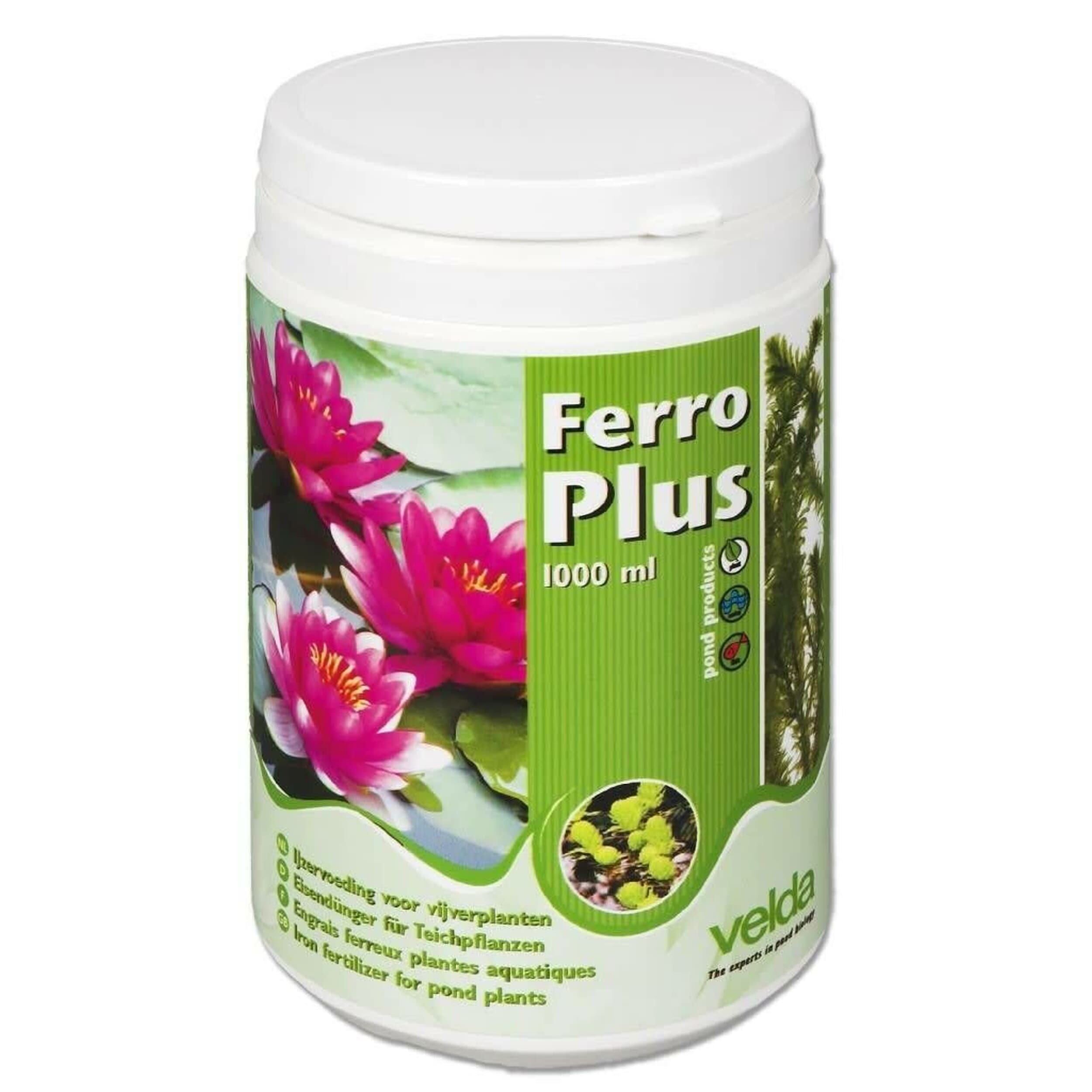Herbal, Plant, Flower, Can, Tin